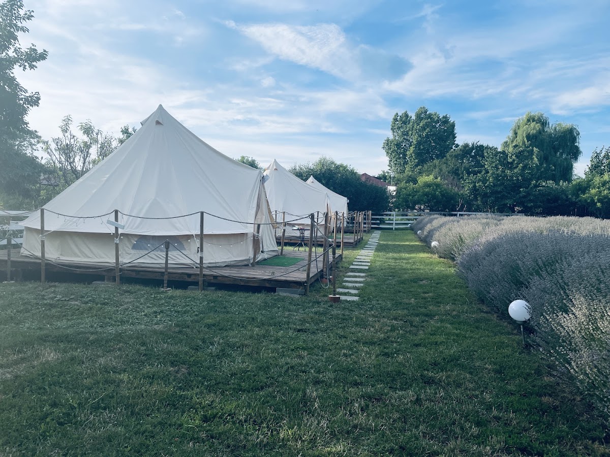 Lavender's Magic Garden - foto 5