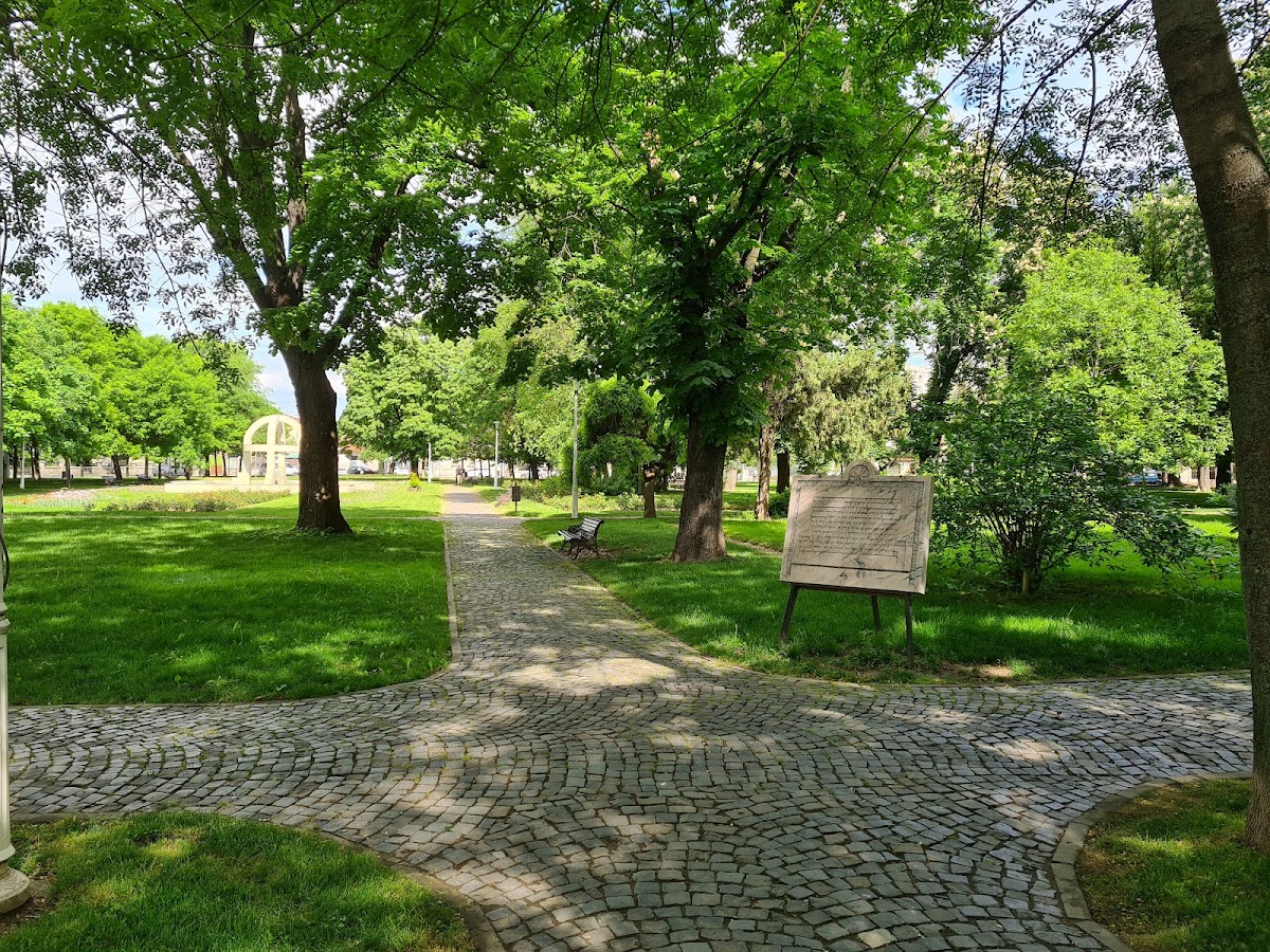 Mihai Bravu Kert - foto 3