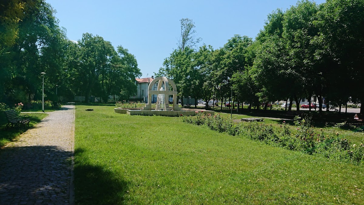 Mihai Bravu Kert - foto 4