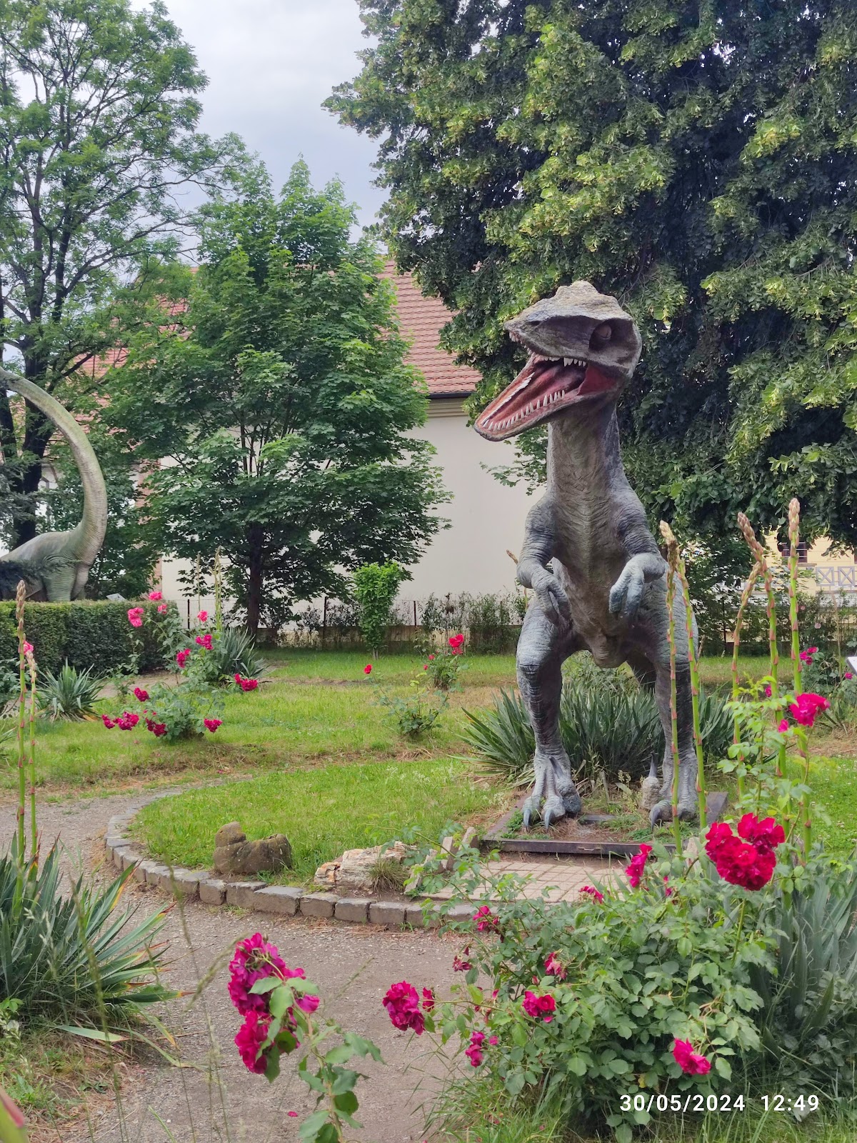 Jardin du Musée d'Histoire Naturelle - foto 3