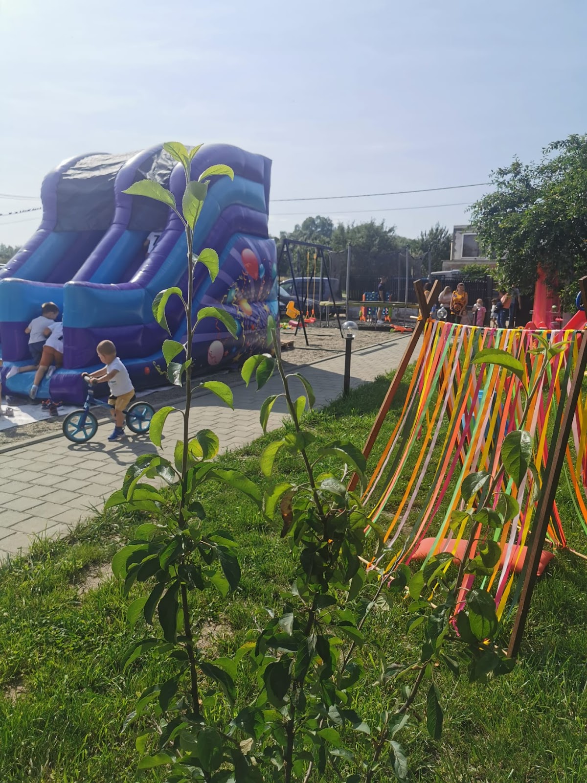 Gradina Piticilor - foto 5