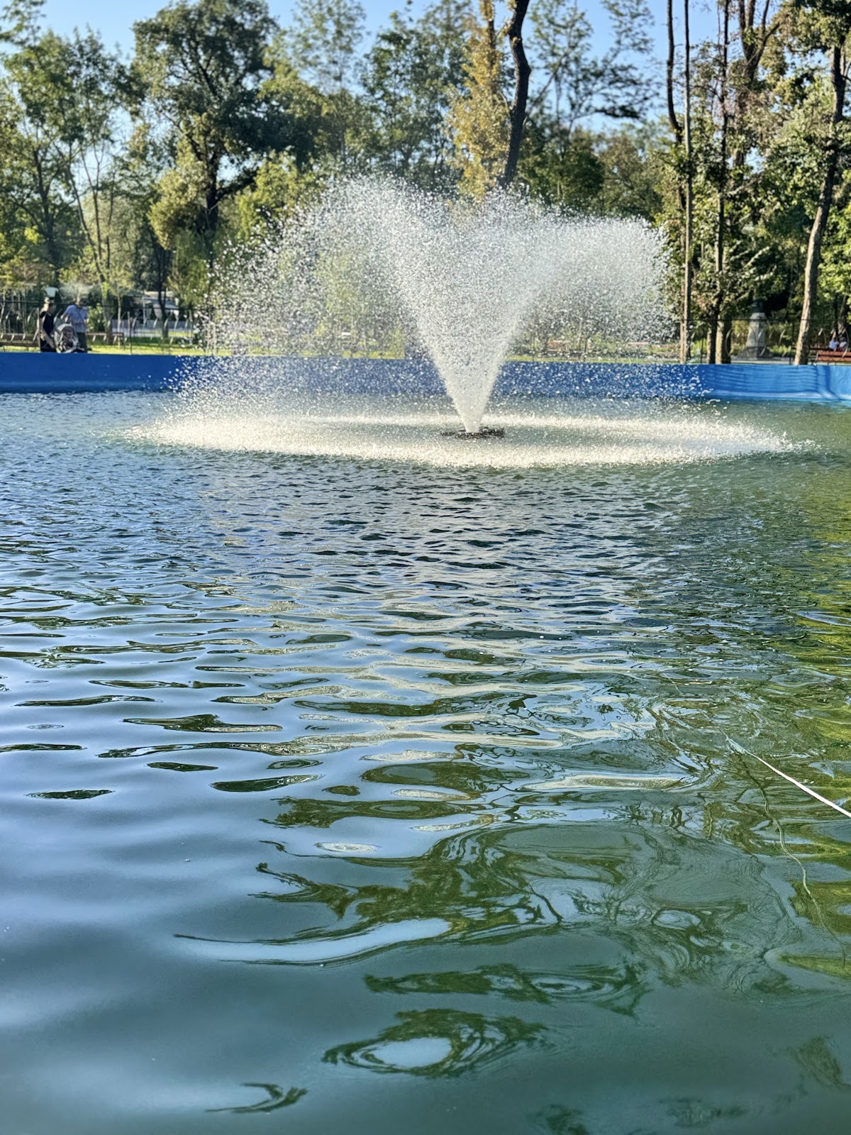 Bârlad Public Garden - foto 5
