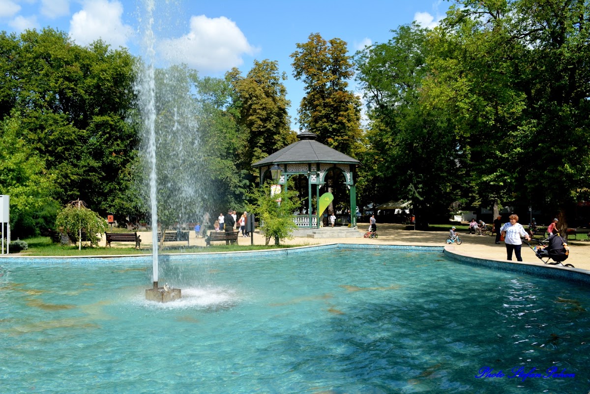 Grădina Publică Focșani - foto 2