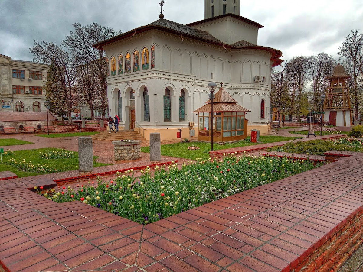 Grădina Publică Focșani - foto 4