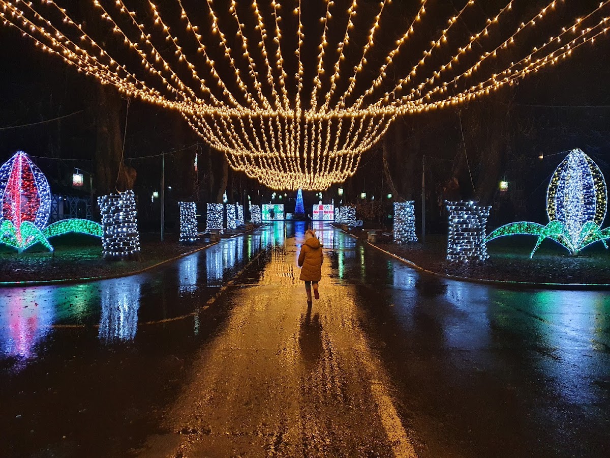 公共花园 "Merci" - foto 2