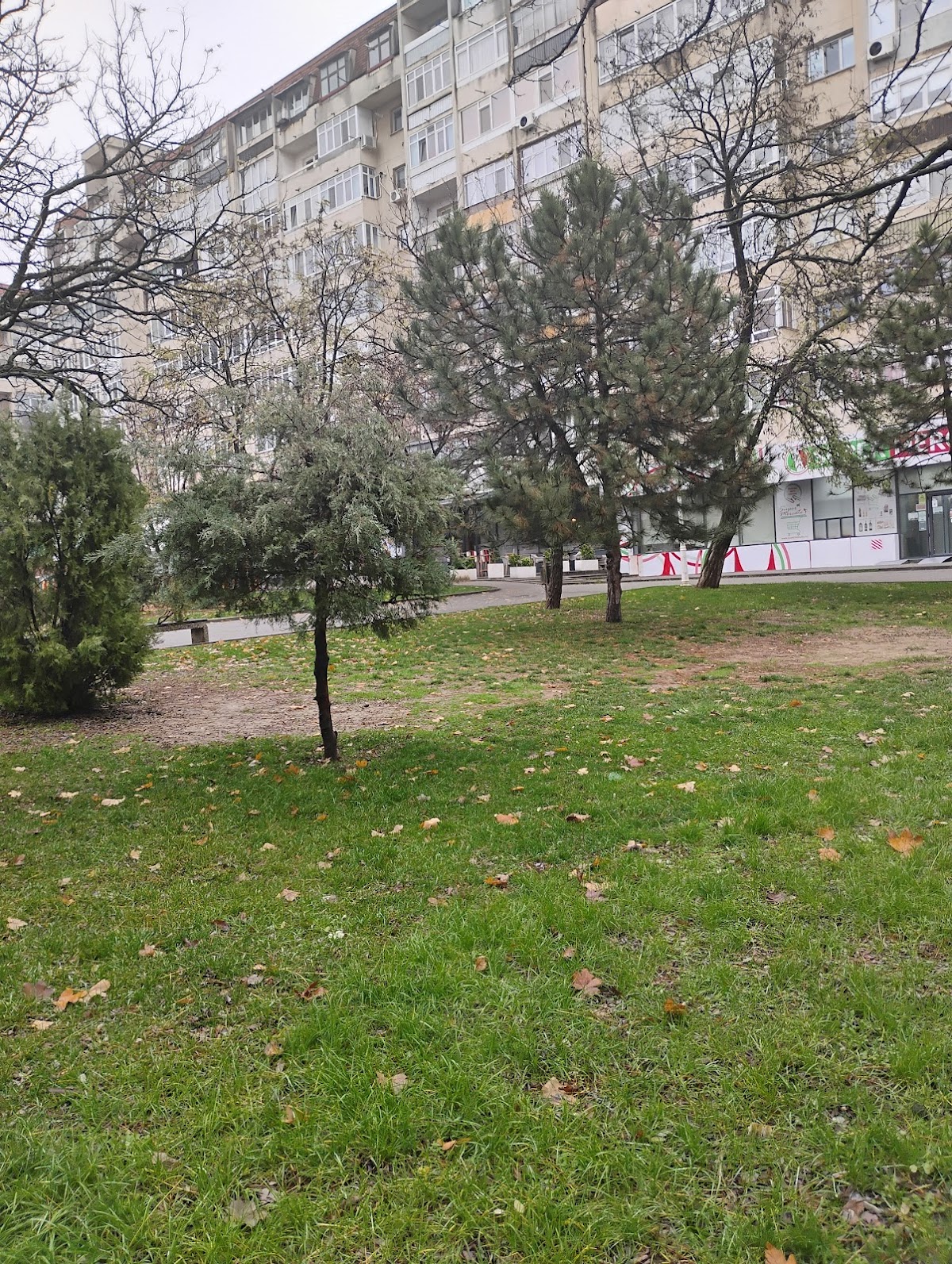 Jardin Rovine - foto 5
