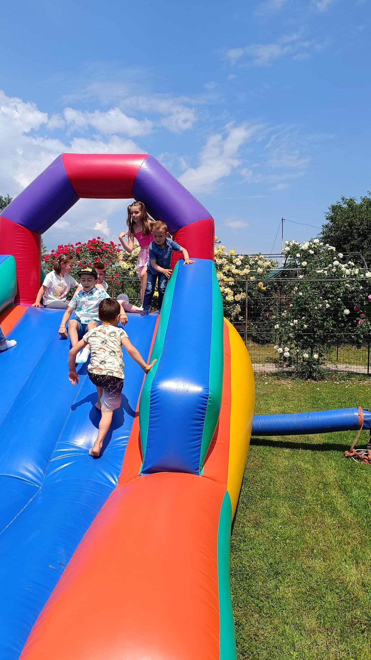 Grădina Senior Vatră Gugești - foto 3