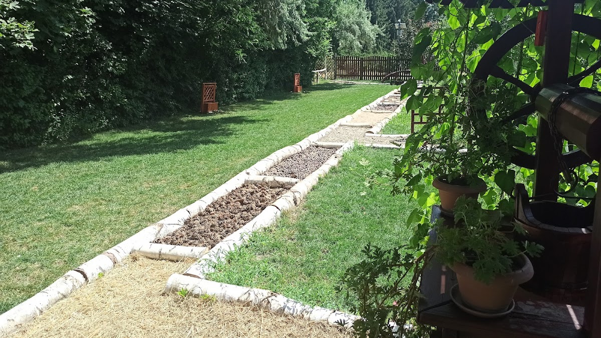 Grădina Senzorială Galați - foto 2