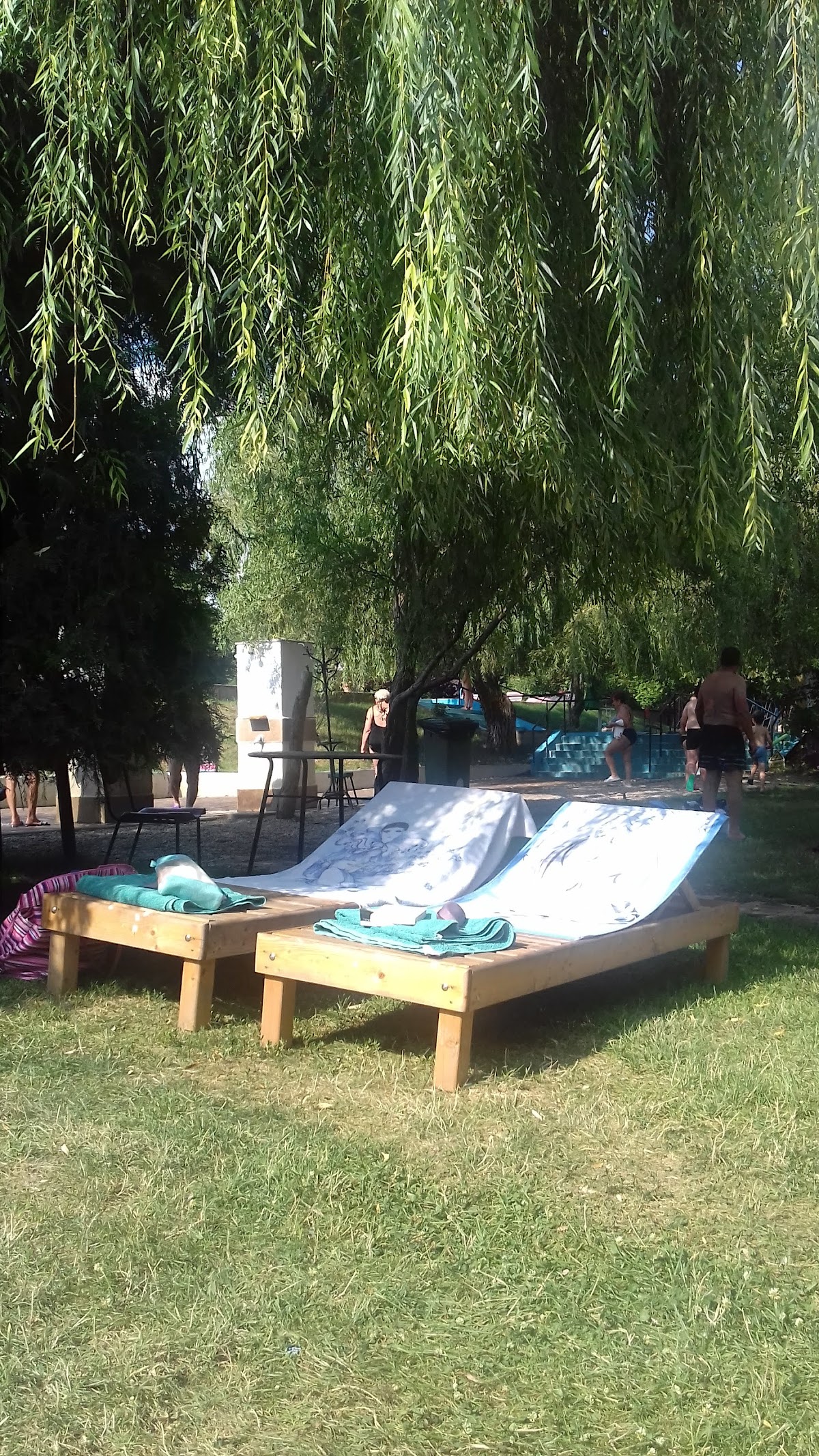 Gradina Termala - foto 3