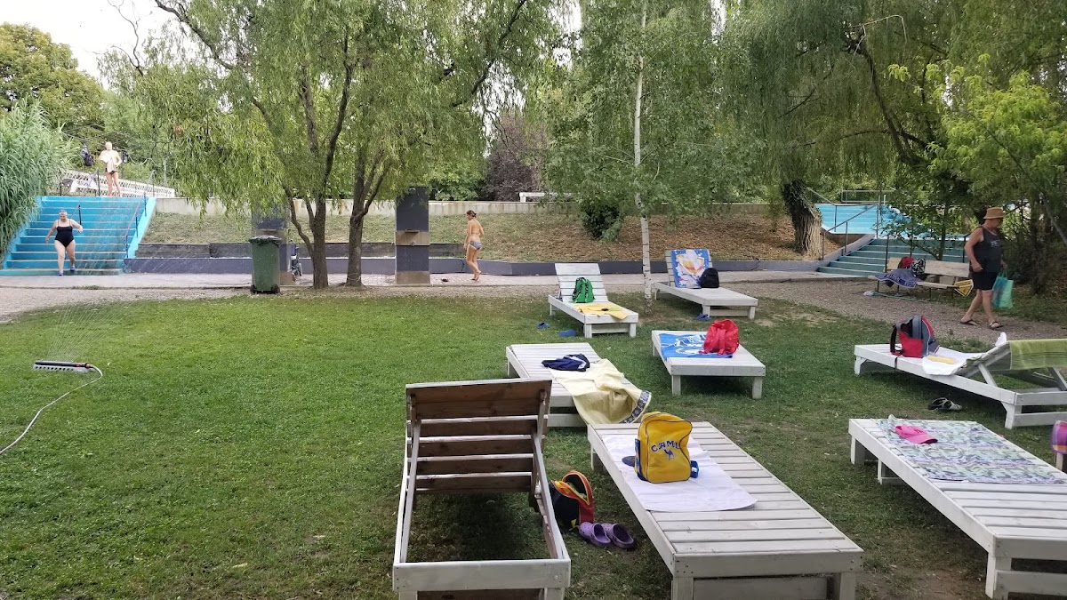 Gradina Termala - foto 4