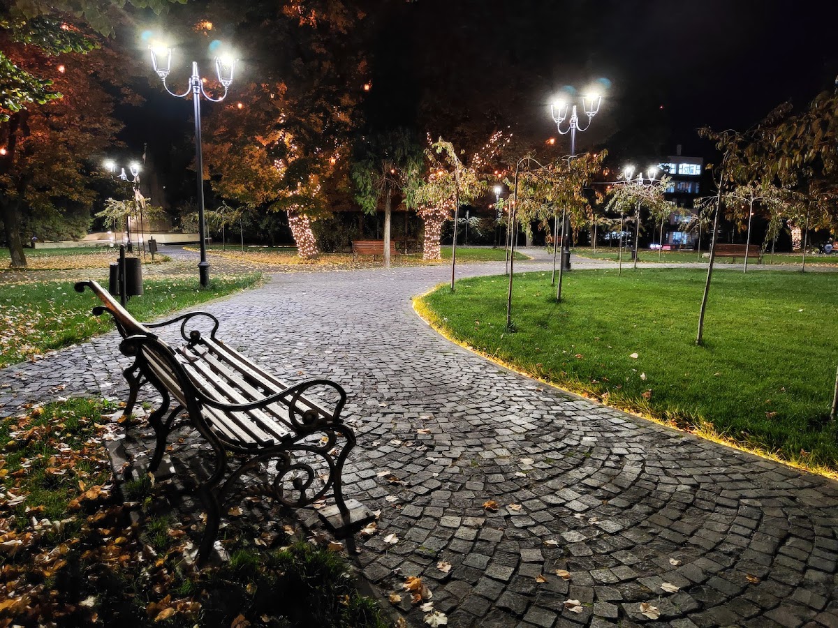 Rózsakert - foto 2