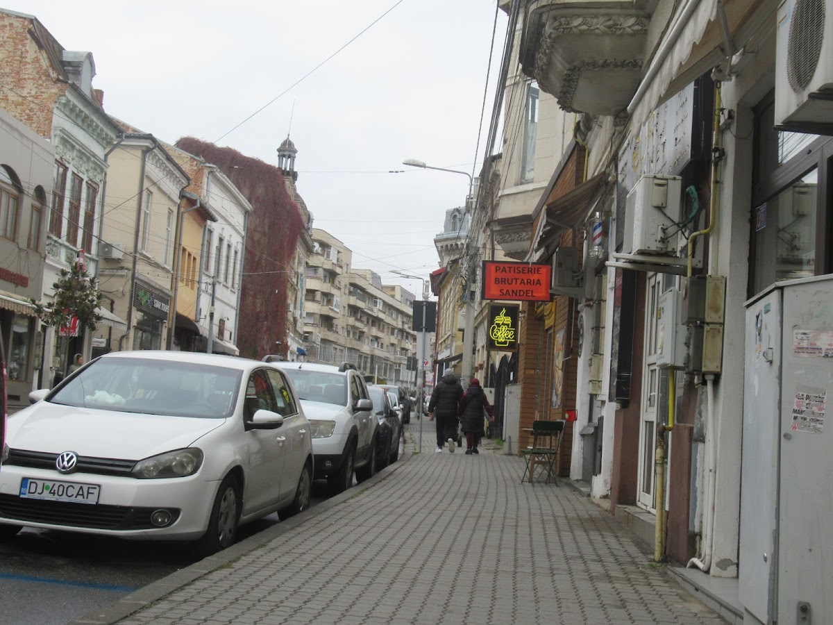 Rózsakert - foto 5