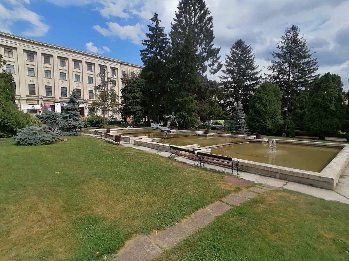 Grădina universității