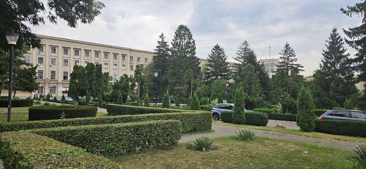 Grădina universității - foto 3