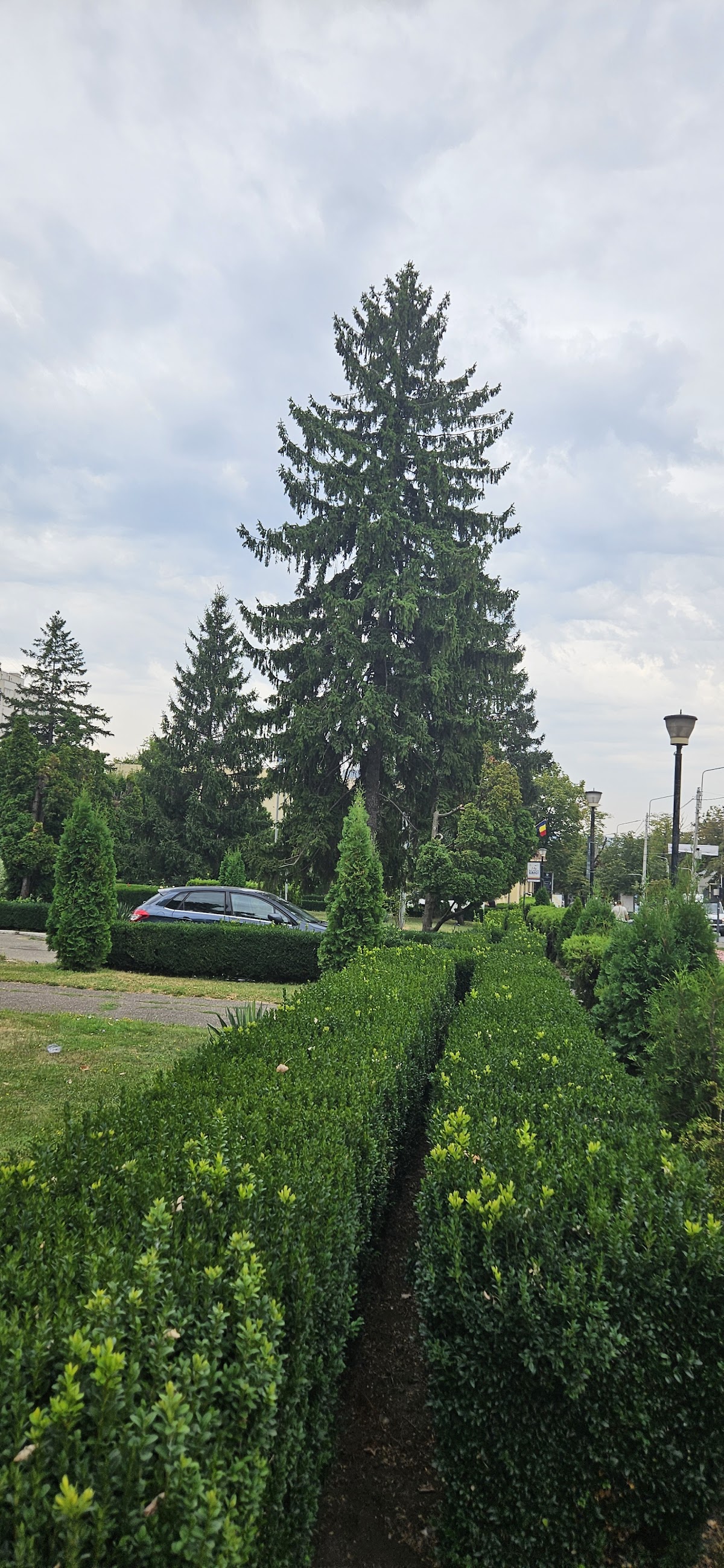 Grădina universității - foto 4