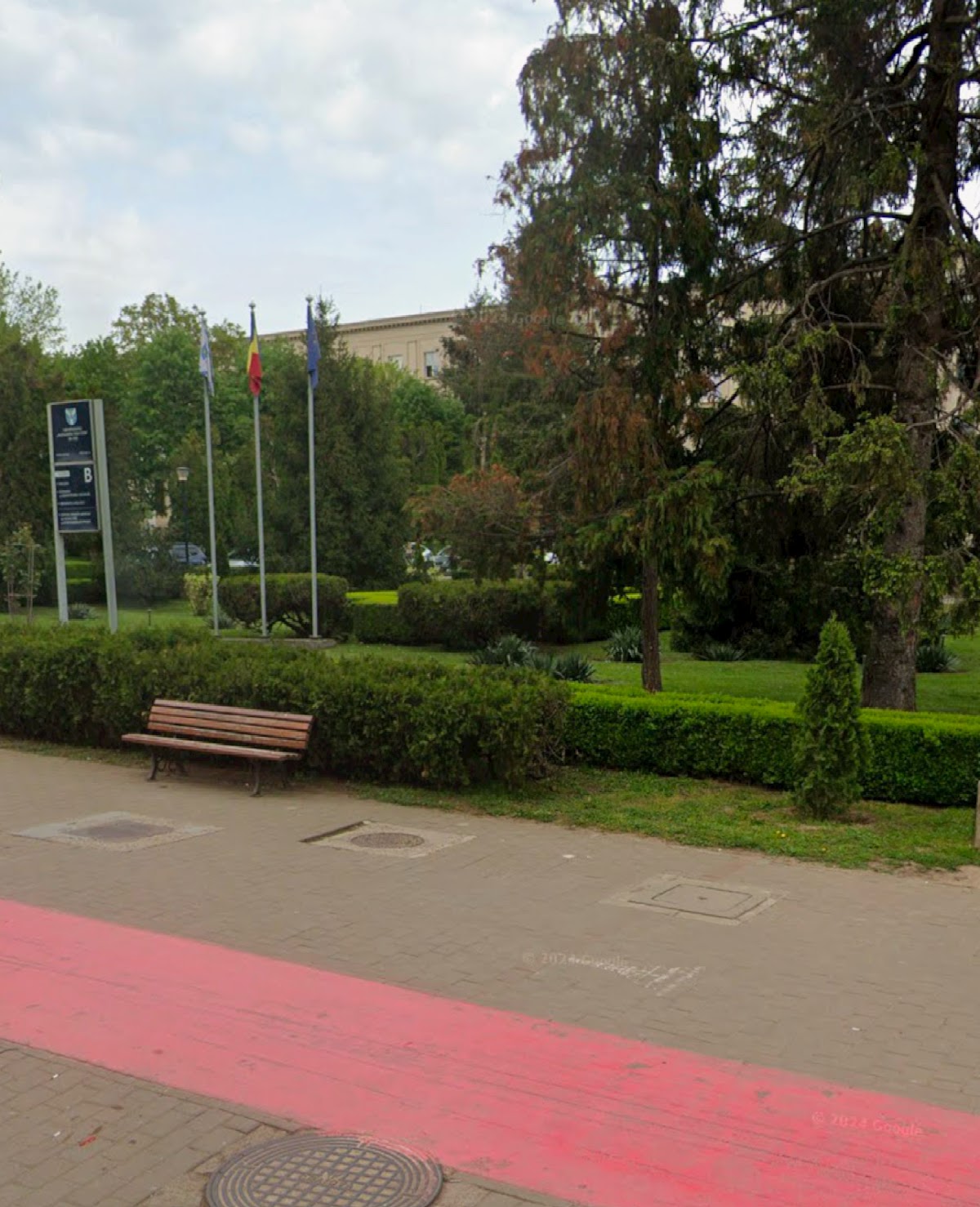 Grădina universității - foto 5