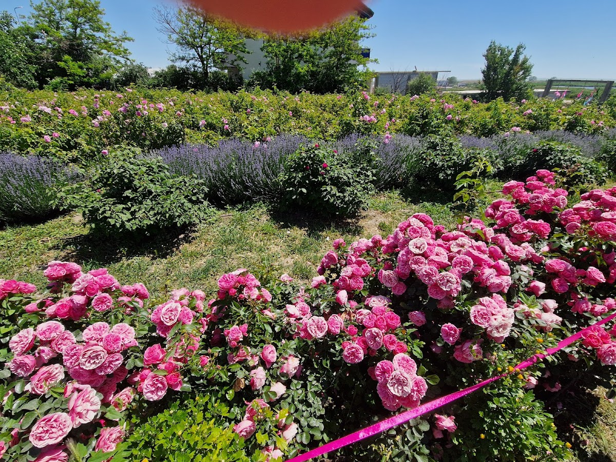 Jardín de las Hadas Jurilovca - foto 3