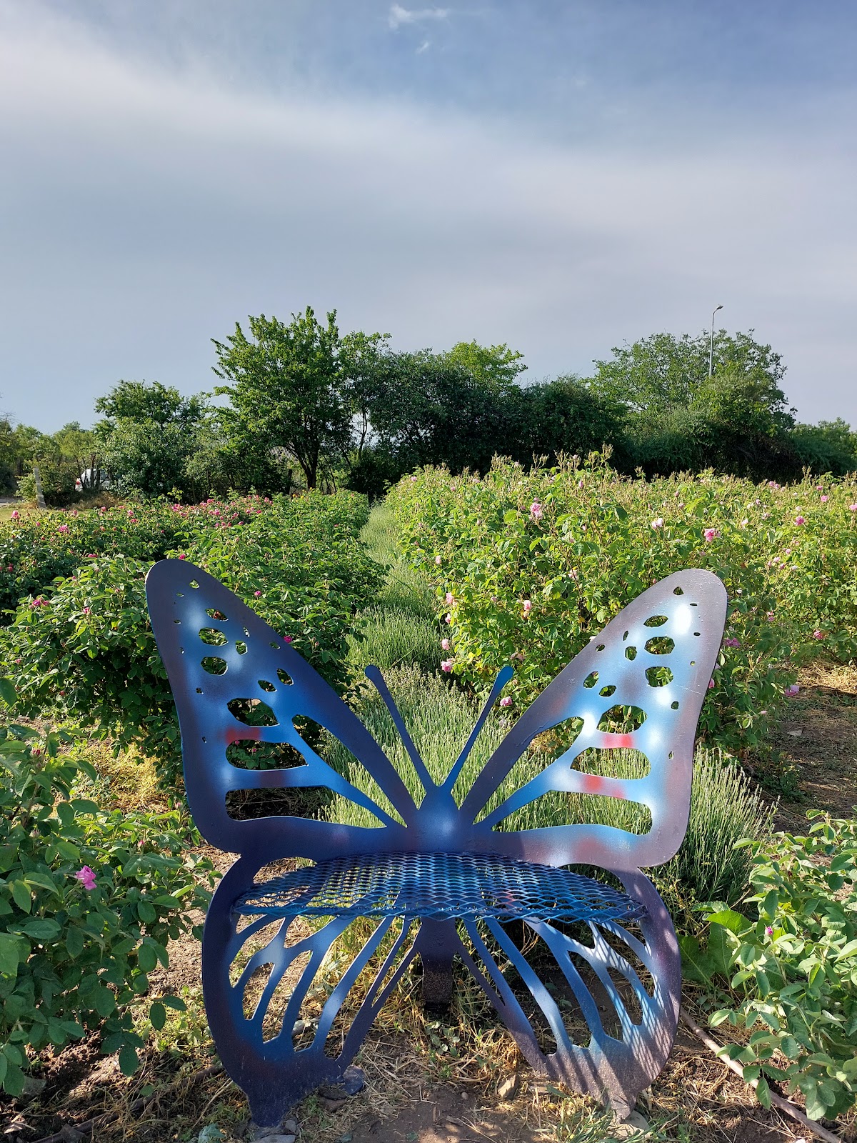 Jardín de las Hadas Jurilovca - foto 4