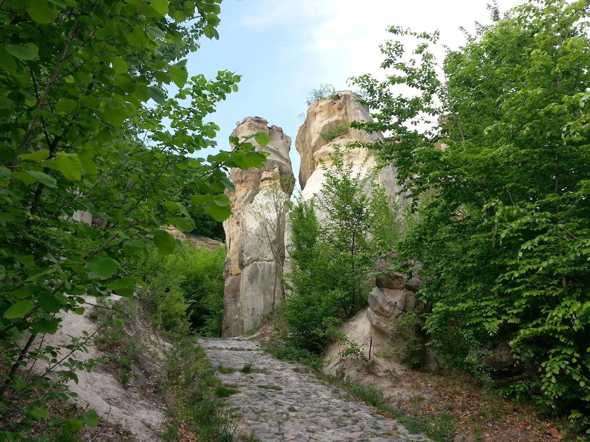 Grădina Zmeilor - foto 5