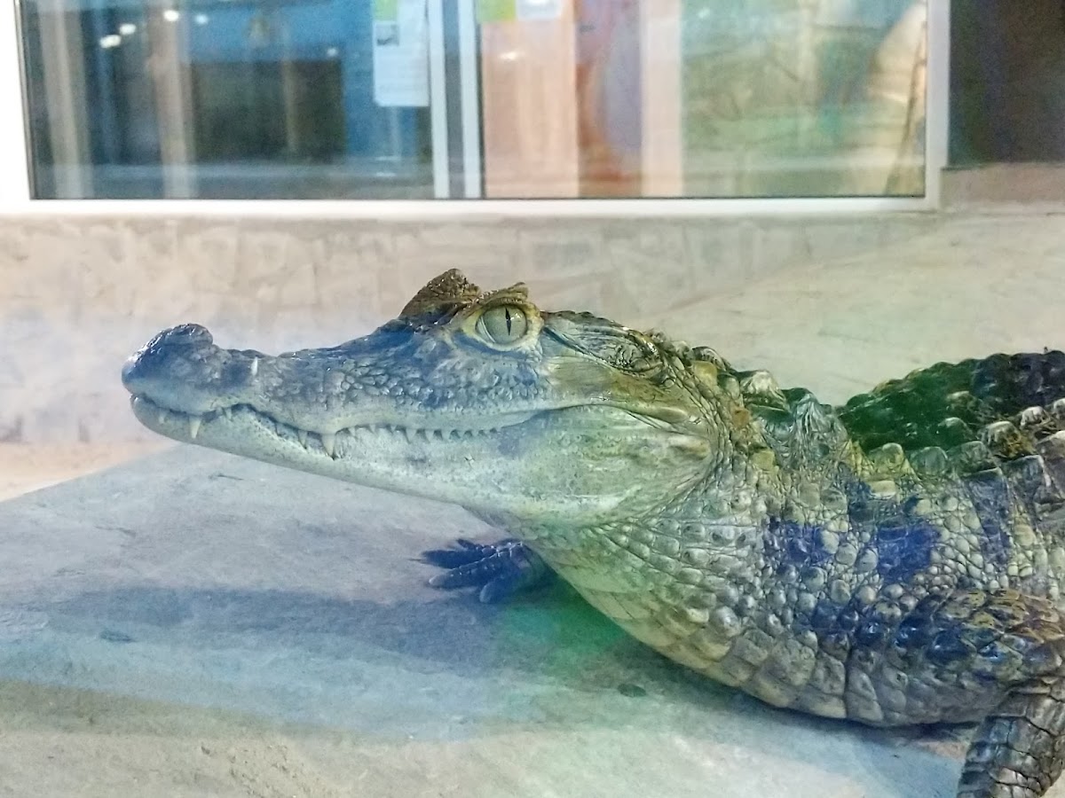 Grădina Zoologică - foto 4