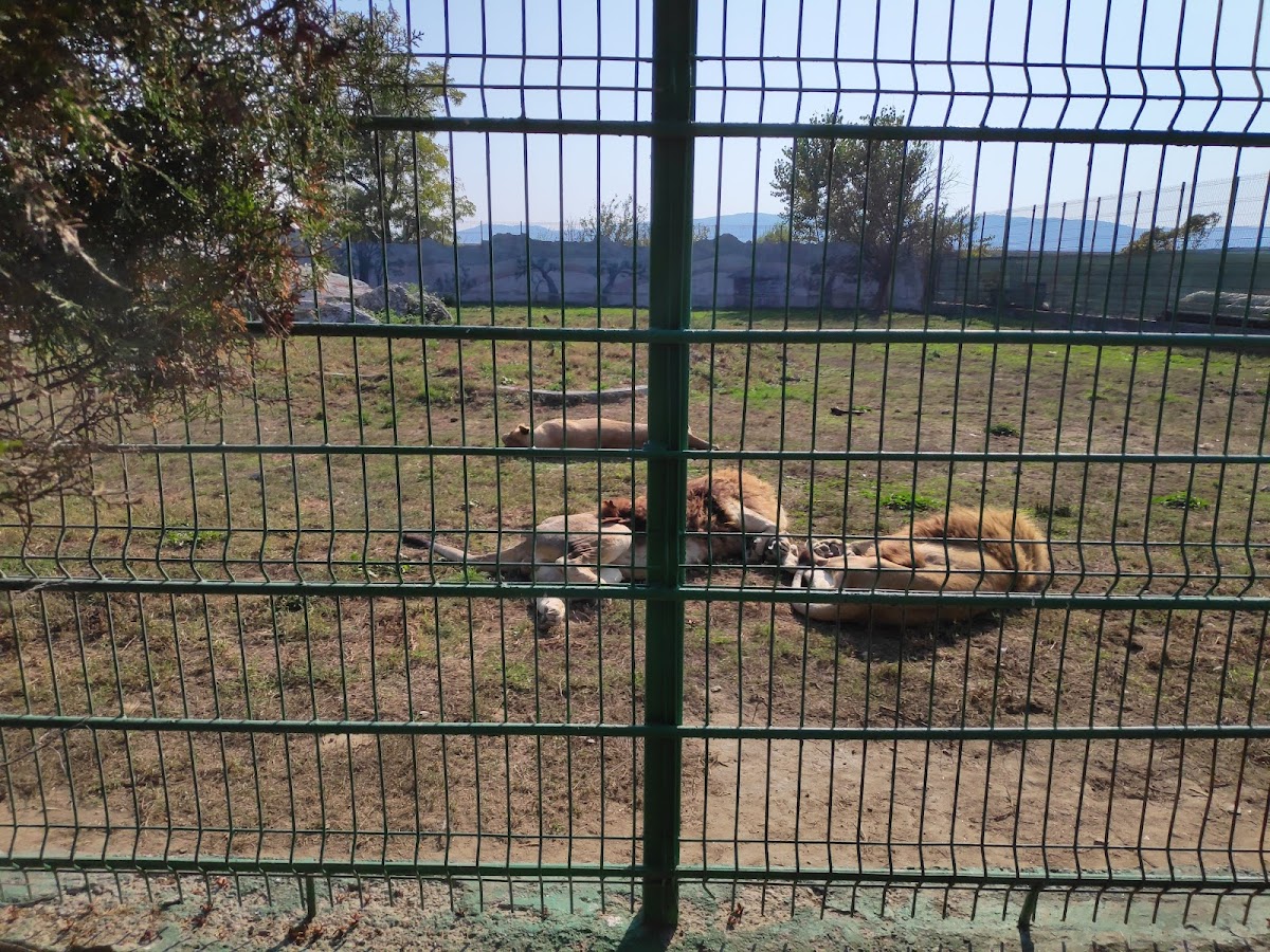 Grădina Zoologică - foto 5
