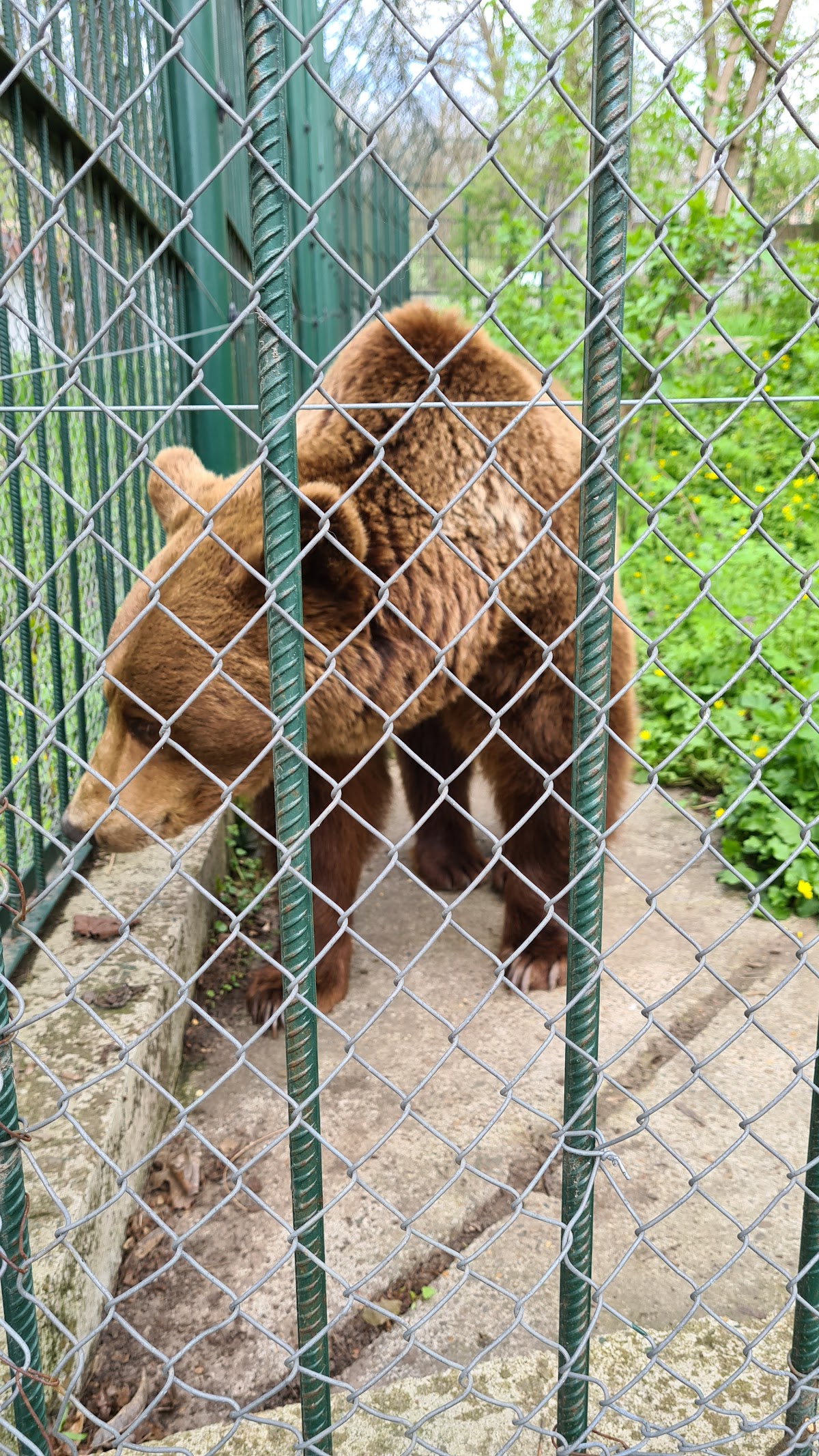 Grădina Zoologică Bârlad - foto 1