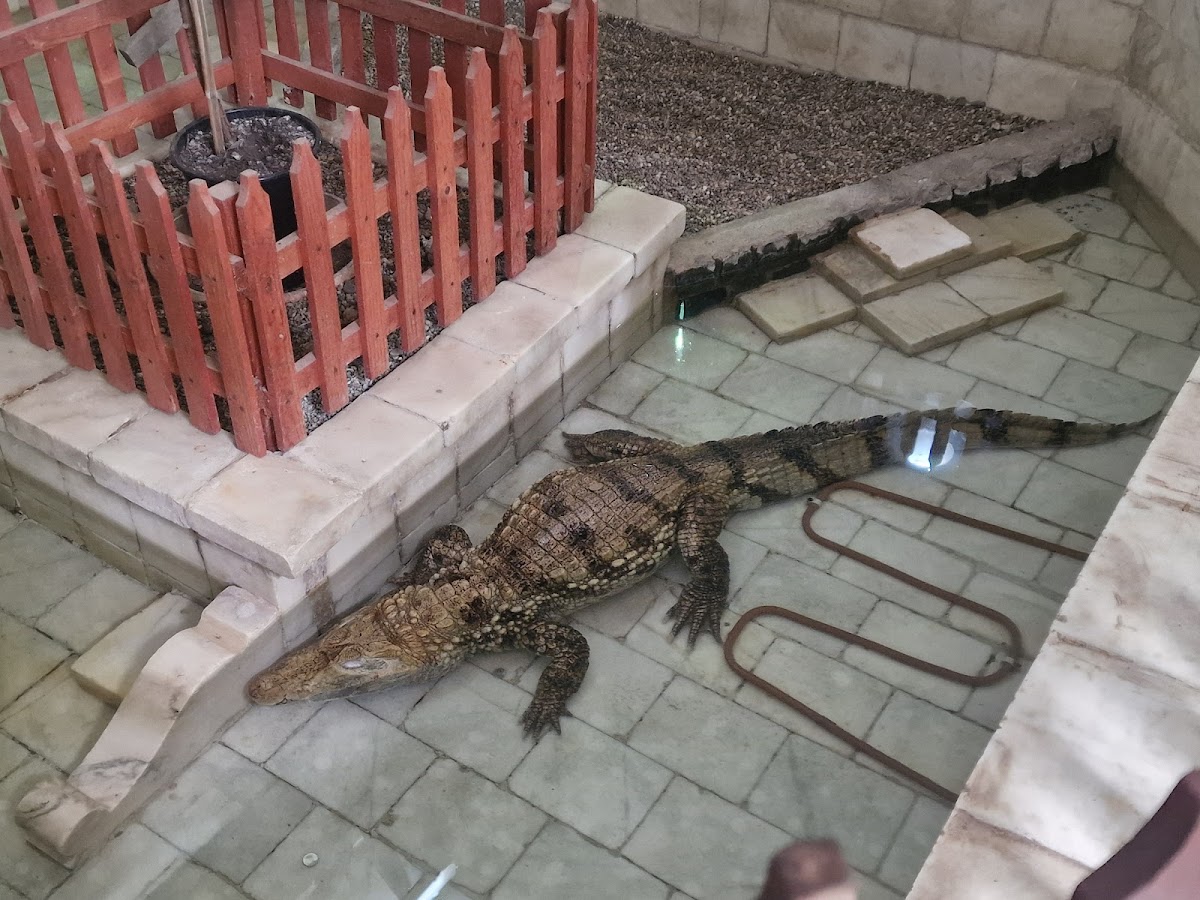 Grădina Zoologică Bârlad - foto 2