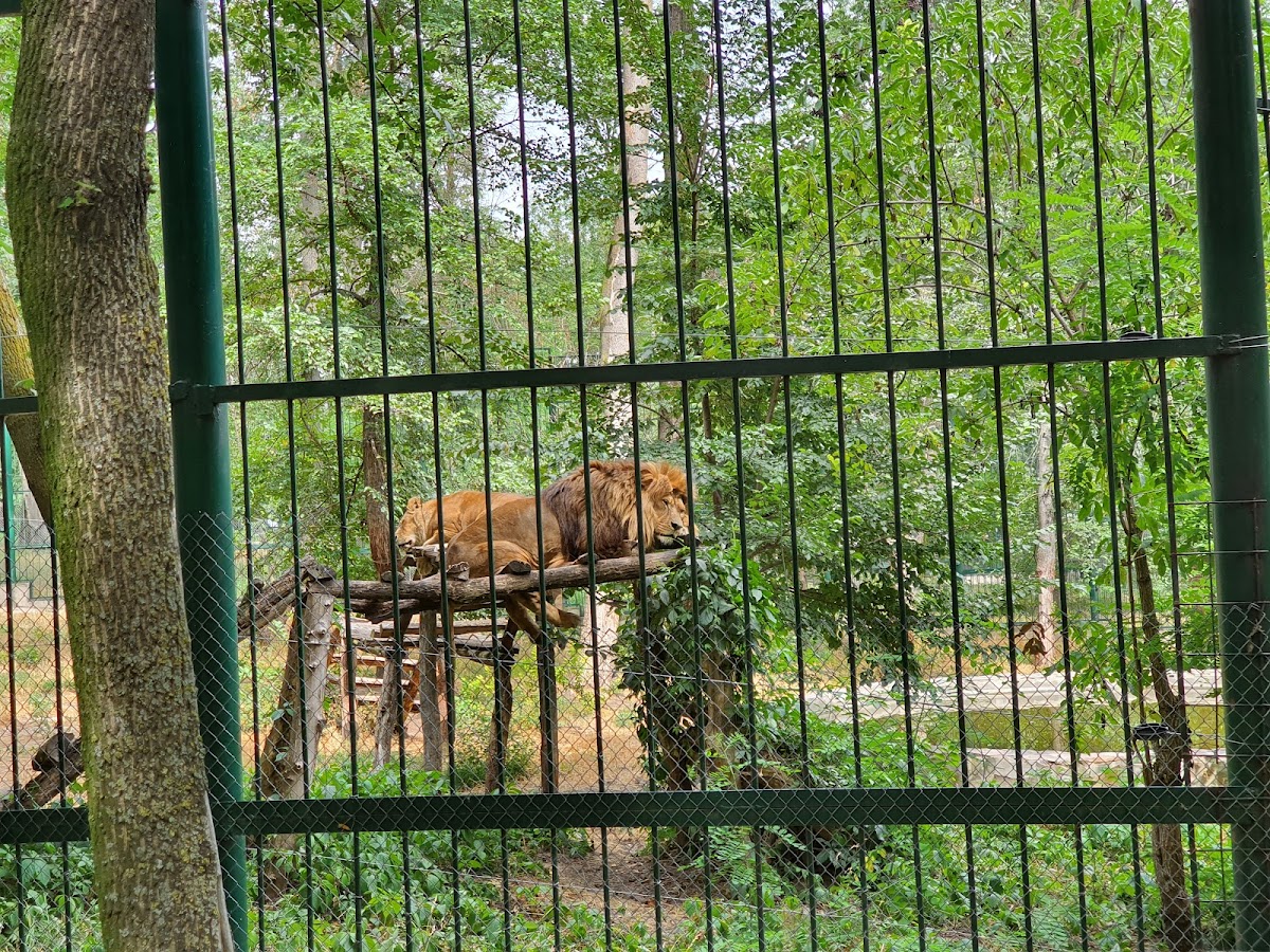 Grădina Zoologică Bârlad - foto 3