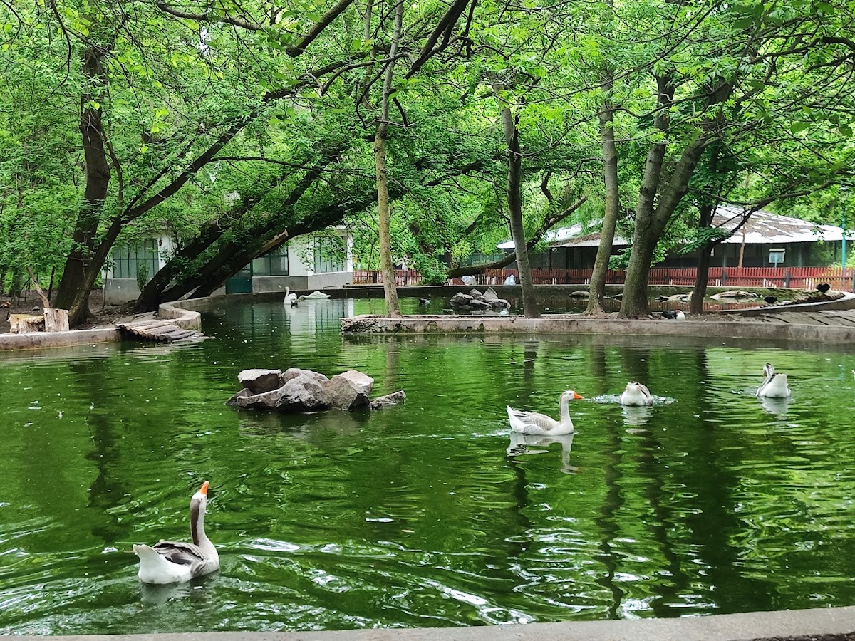 Grădina Zoologică Bârlad - foto 5