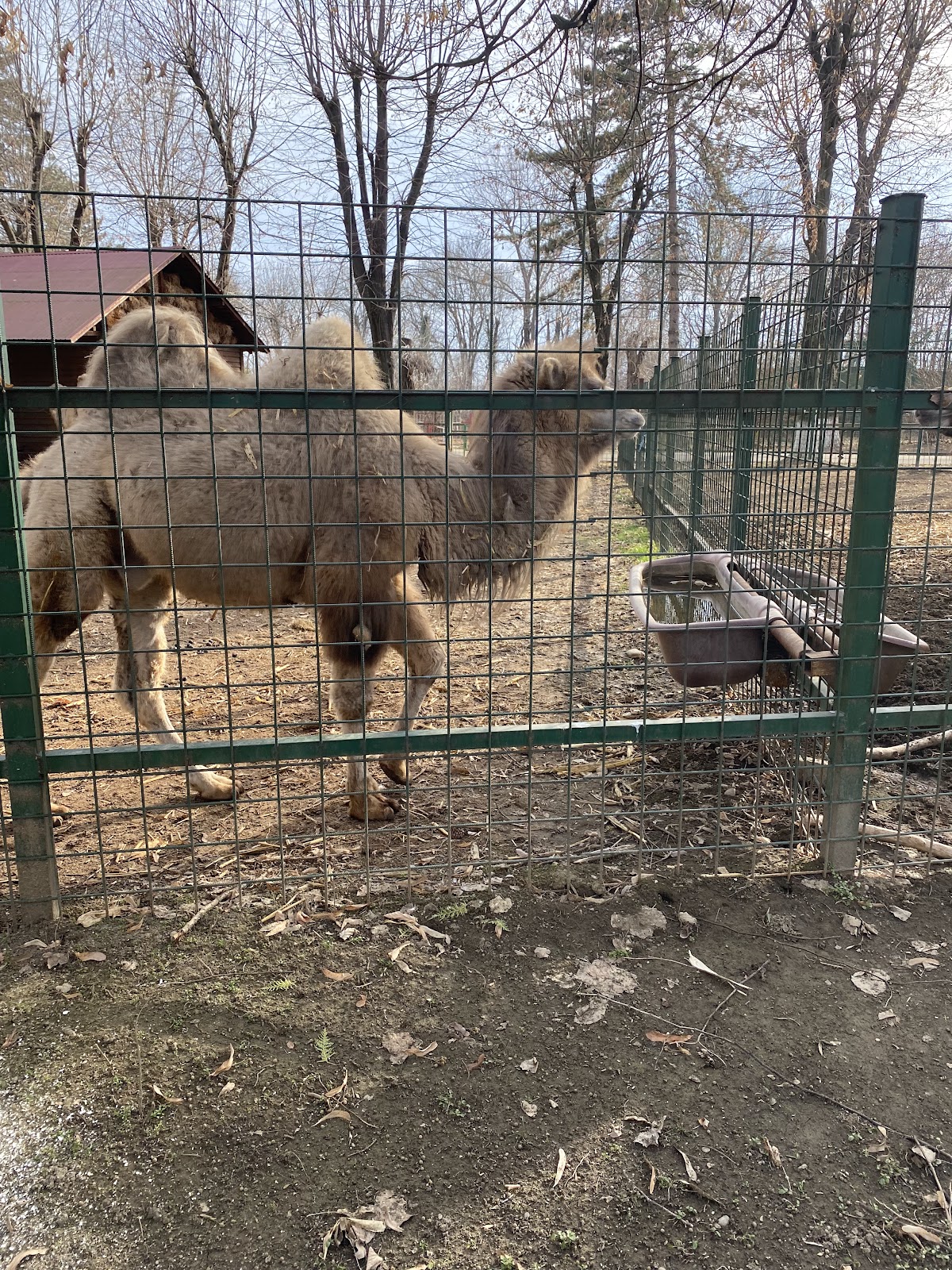 Zoo Bucov (Ploiești) - foto 2