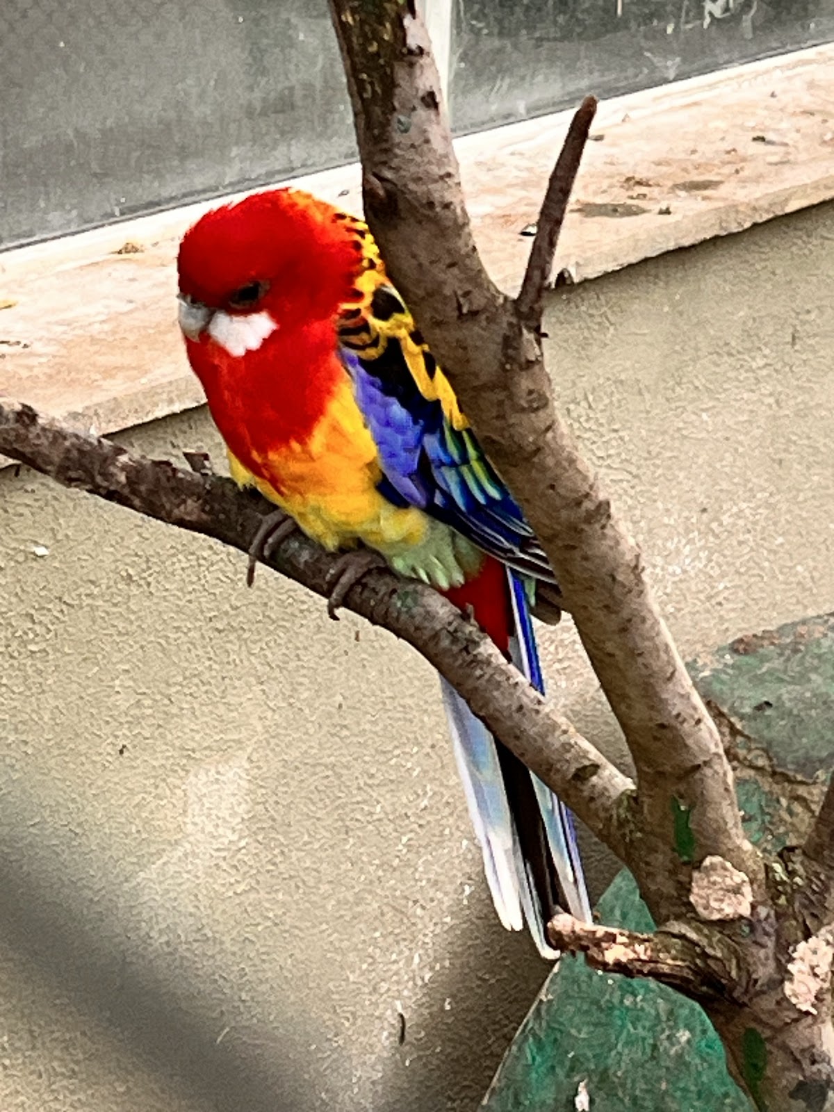 Zoo Bucov (Ploiești) - foto 5