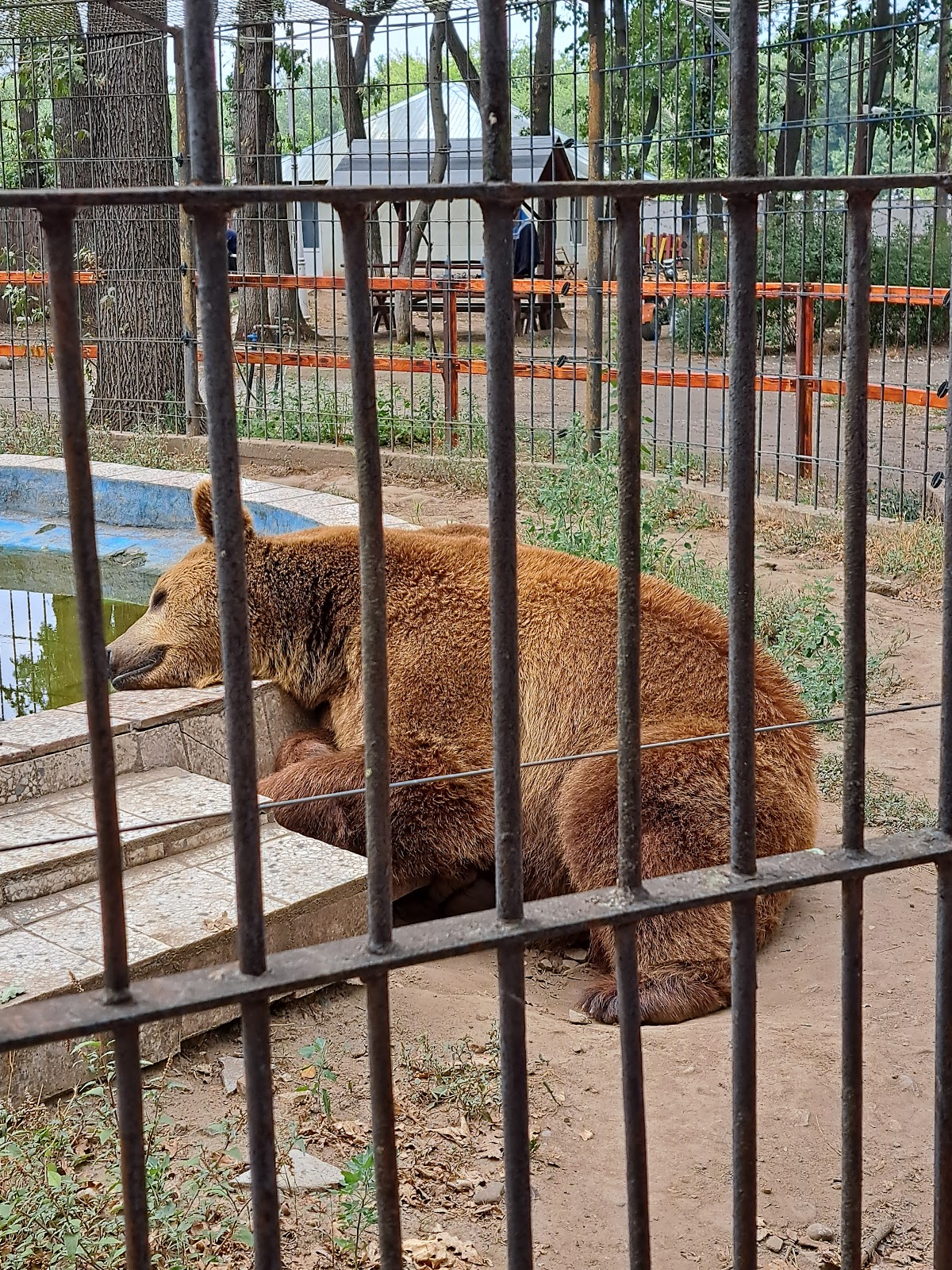 Grădina Zoologică-Eco SA - foto 2
