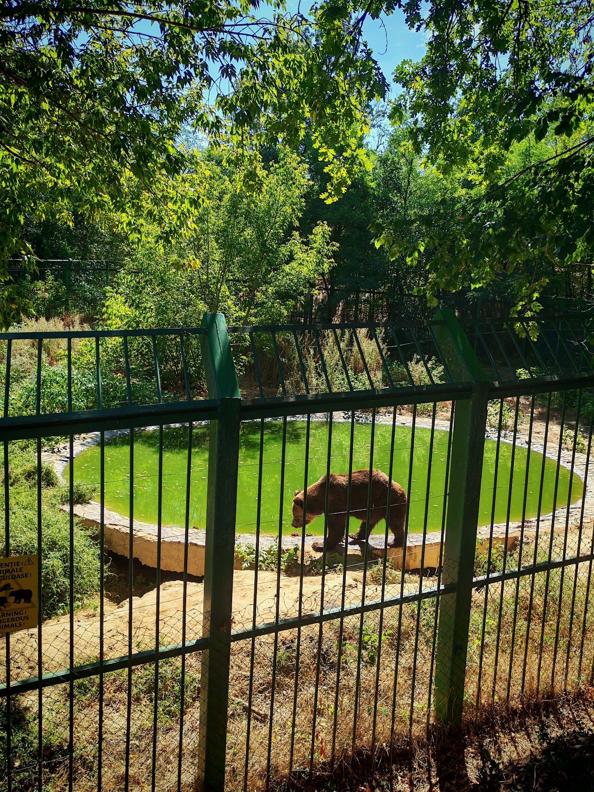 GRĂDINA ZOOLOGICĂ GALAȚI - foto 2