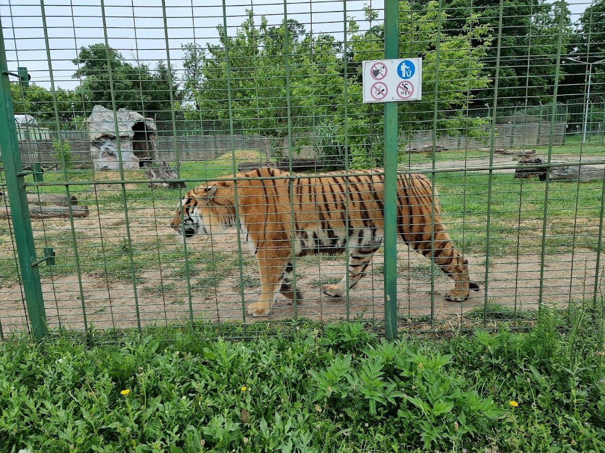 Grădina Zoologică Oradea - foto 2