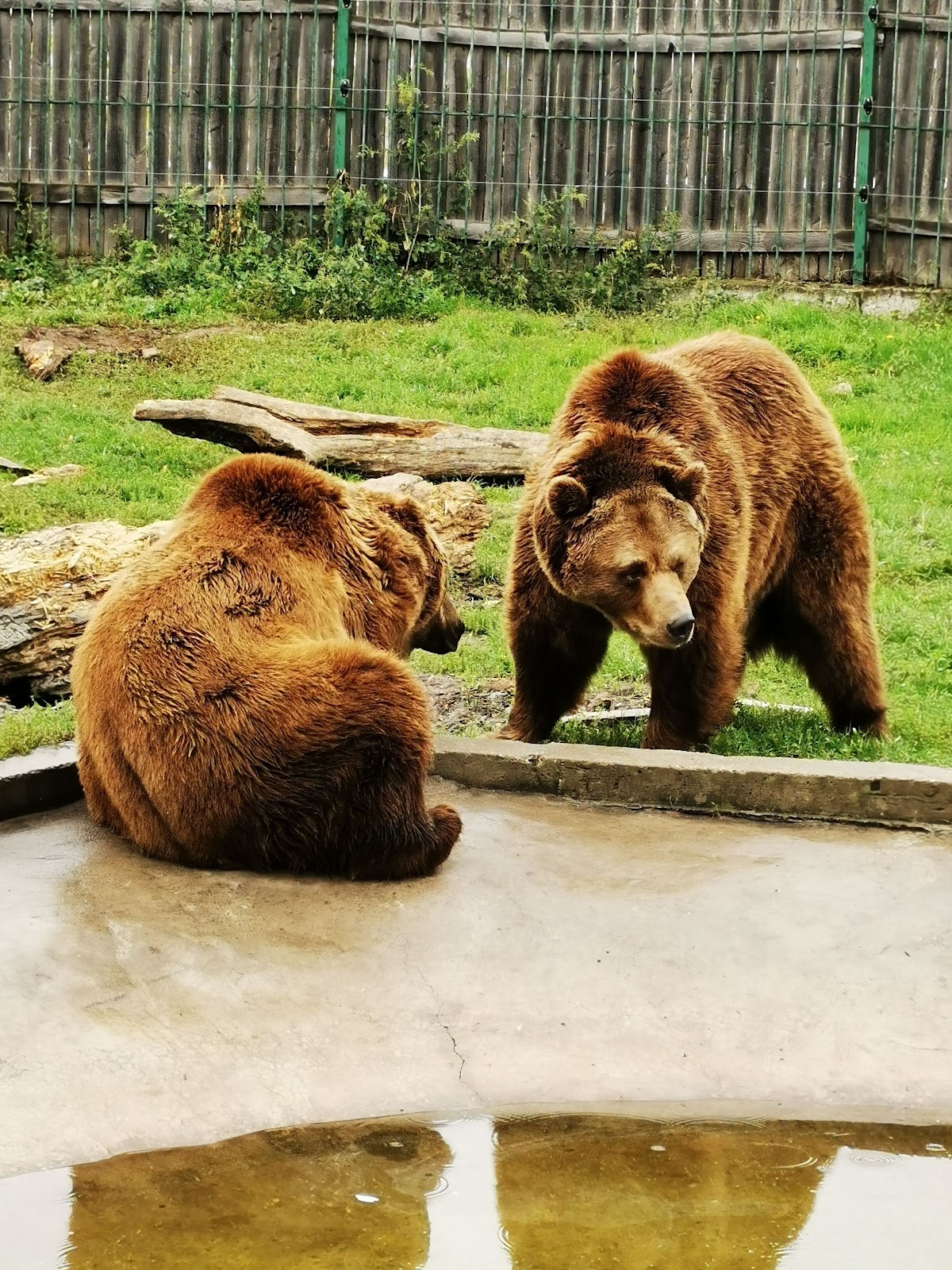 Grădina Zoologică Oradea - foto 5