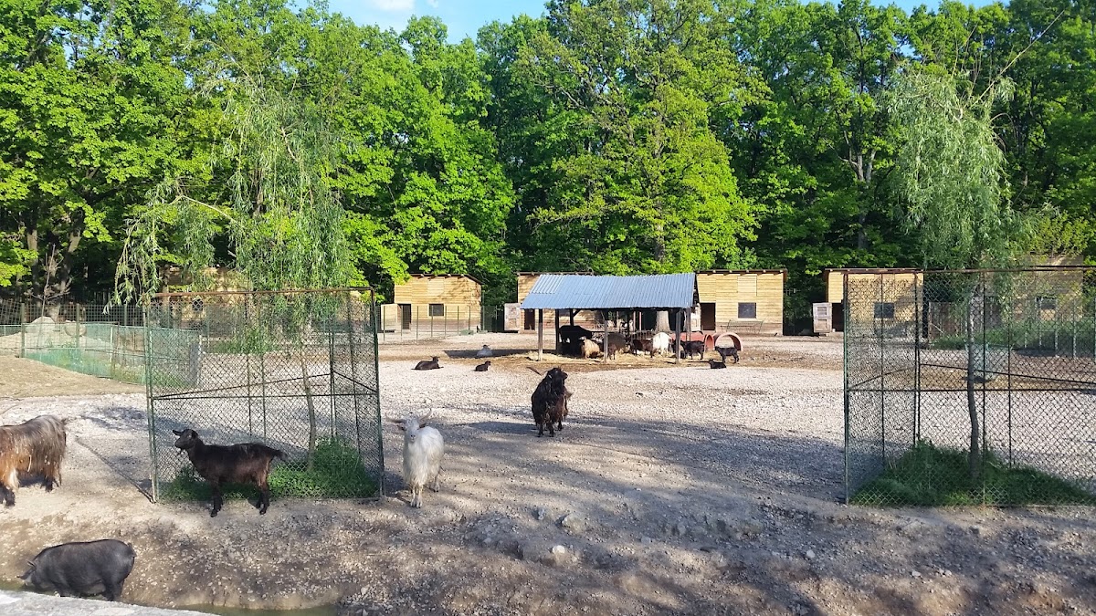 Grădina zoologică Piteşti - foto 1