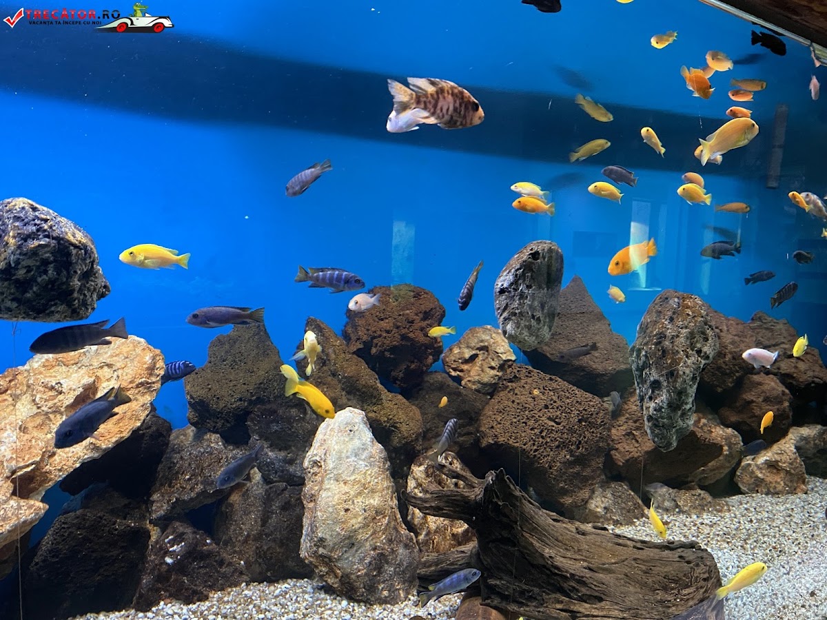 Grădina zoologică Piteşti - foto 3