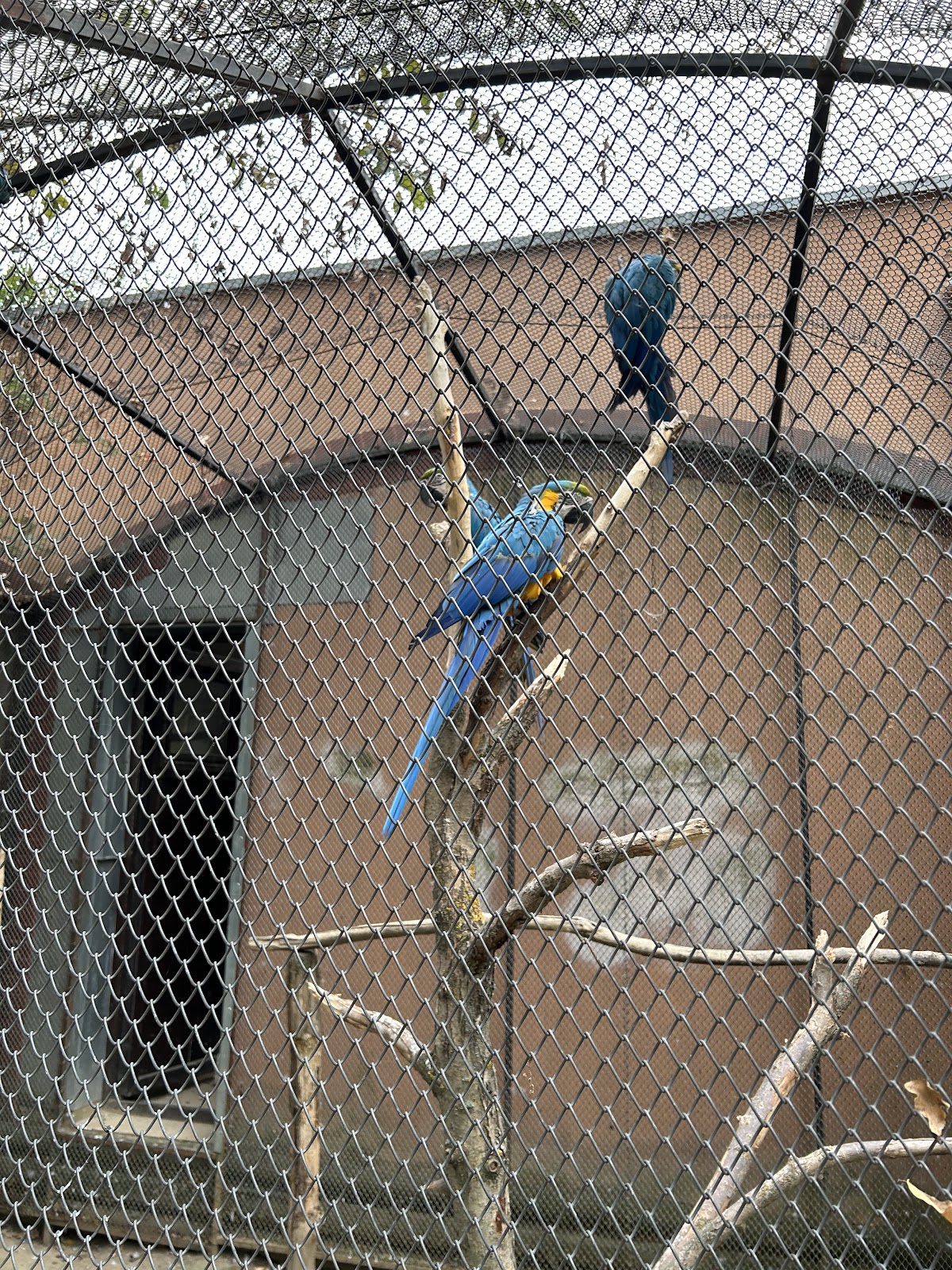 Grădina zoologică Piteşti - foto 5
