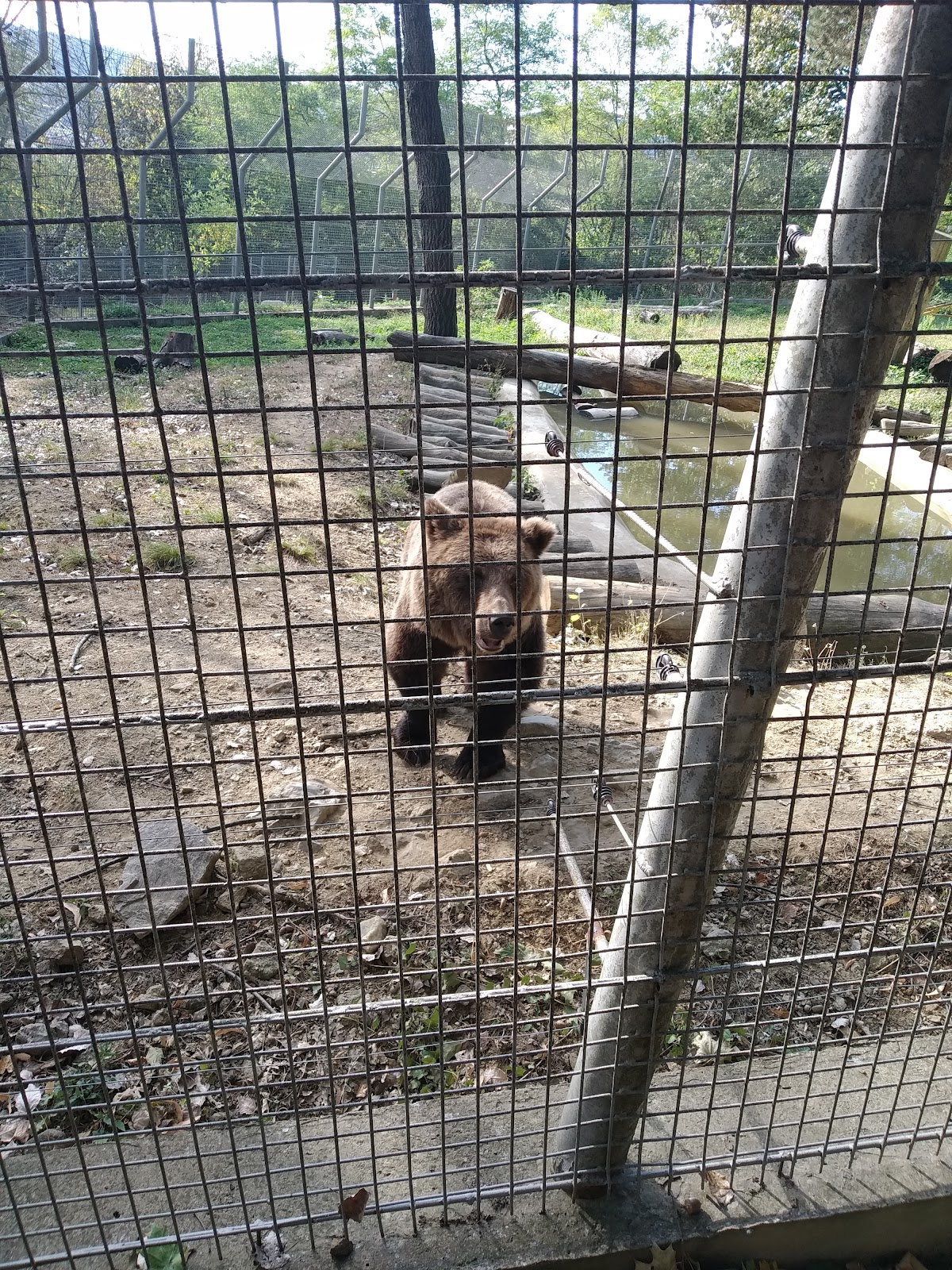 Grădina Zoologică "Prof. Ioan Crișan" Resita - foto 3