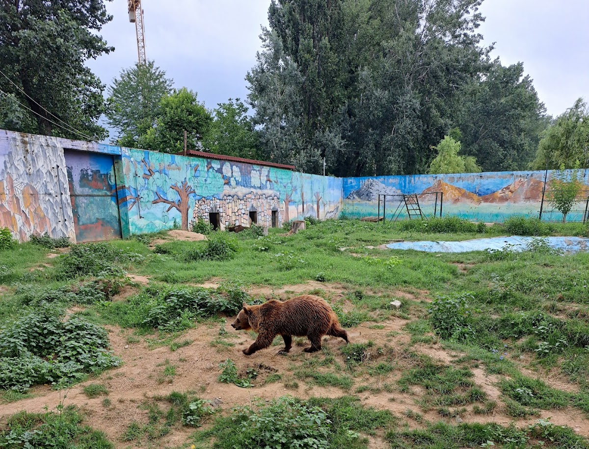 Grădina Zoologică Târgoviște - foto 2