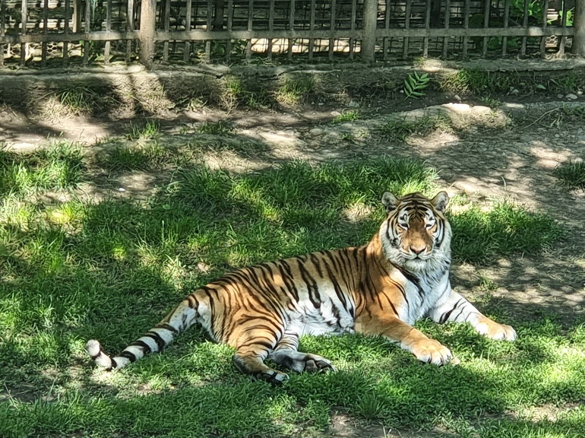Grădina Zoologică Târgoviște - foto 3