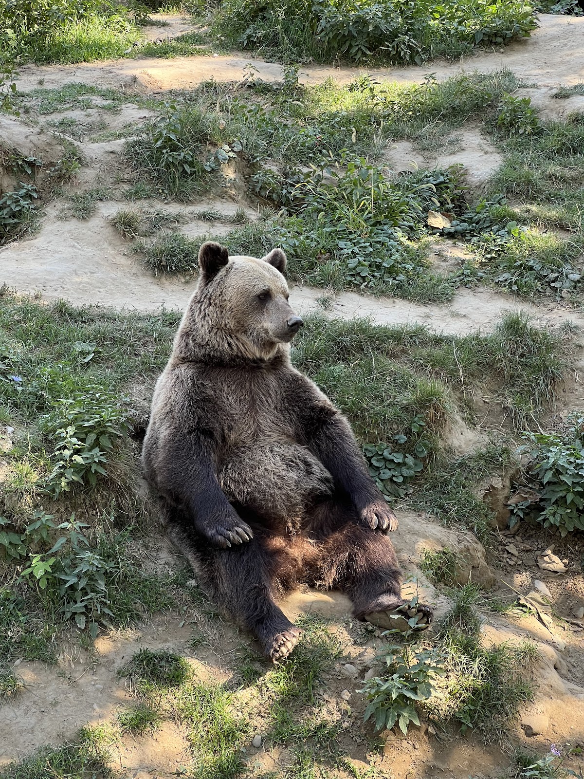 Grădina Zoologică Târgoviște - foto 4