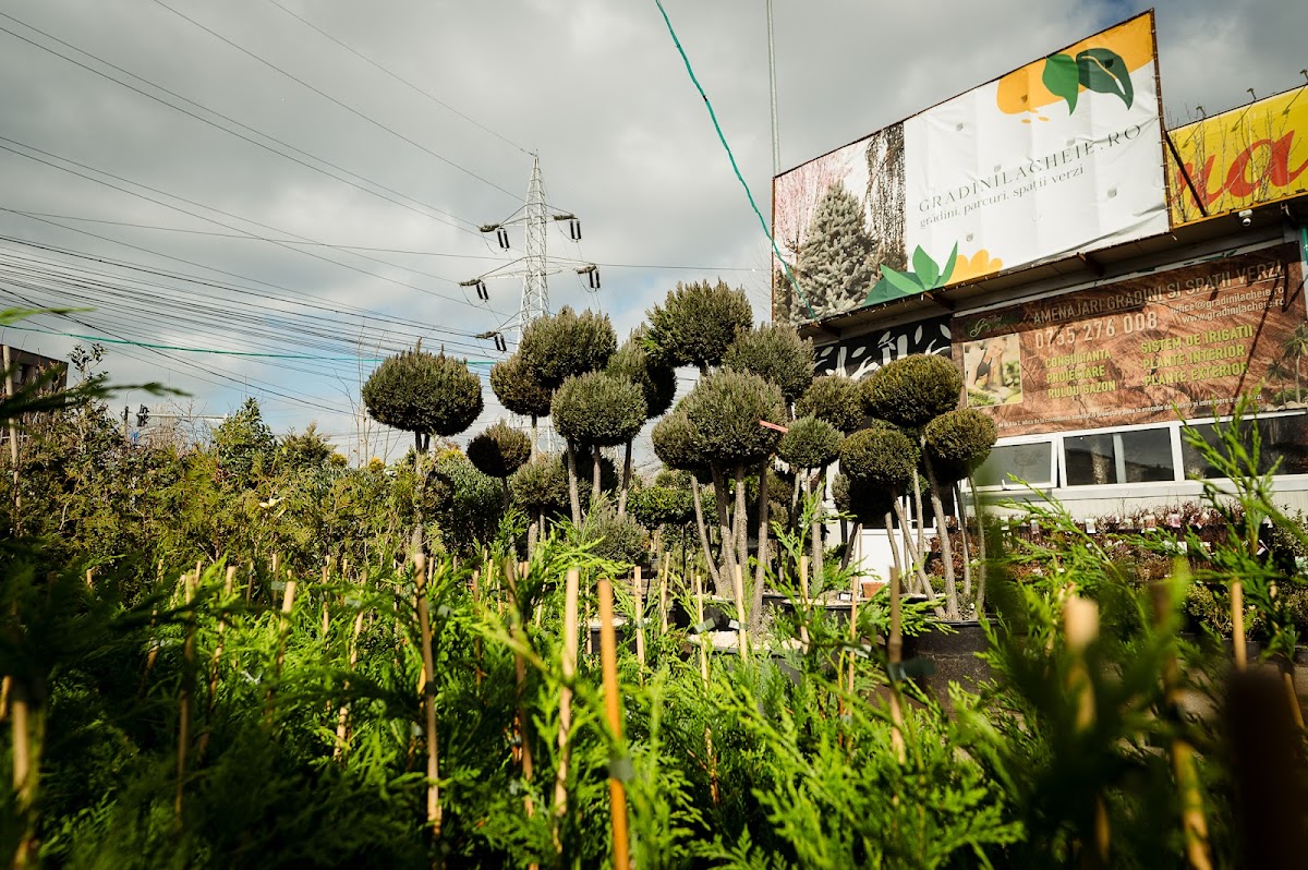 Grădini la Cheie - foto 1