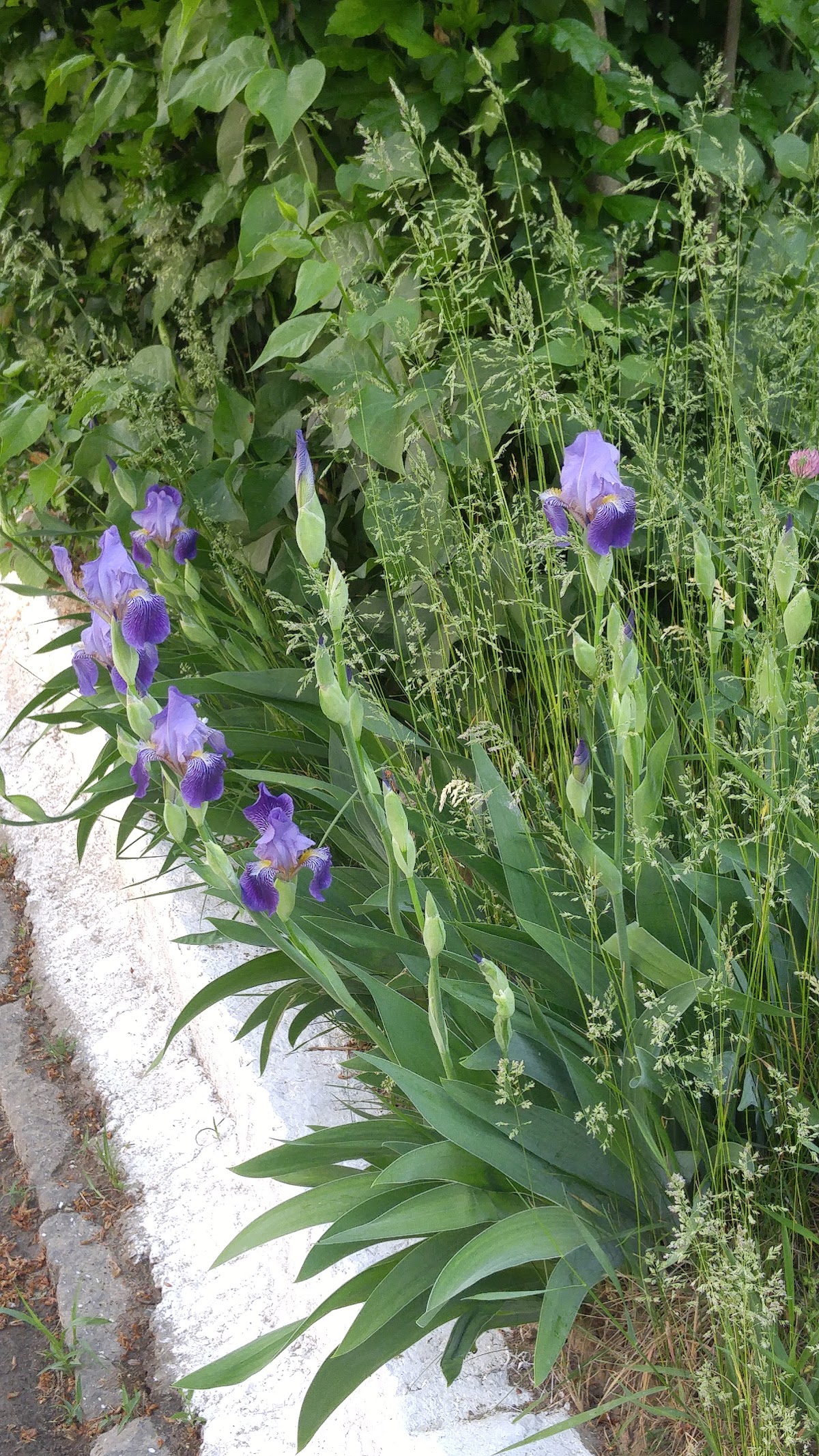 Jardin d'Enfants avec Programme Étendu - foto 3