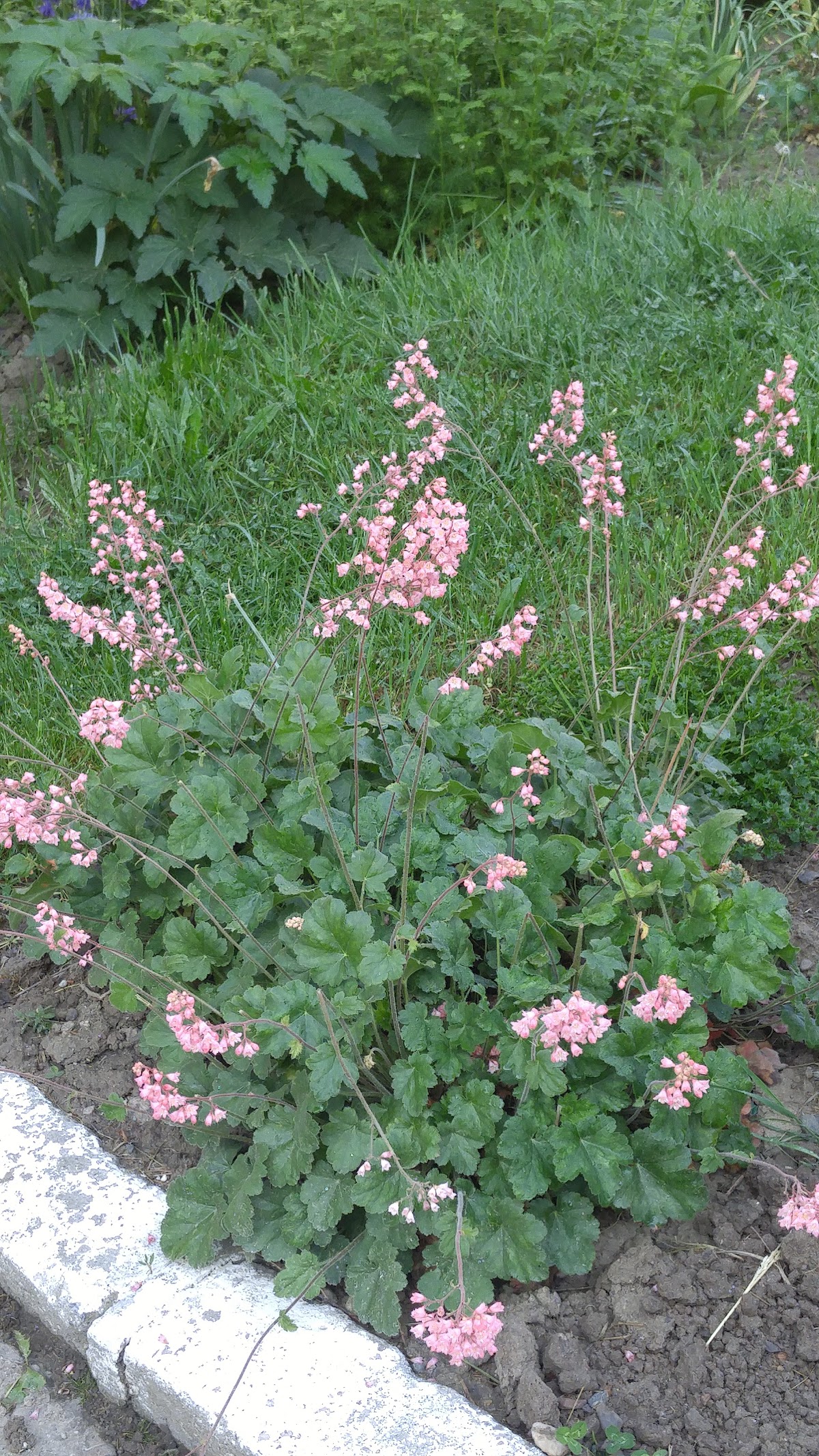 Jardin d'Enfants avec Programme Étendu - foto 4
