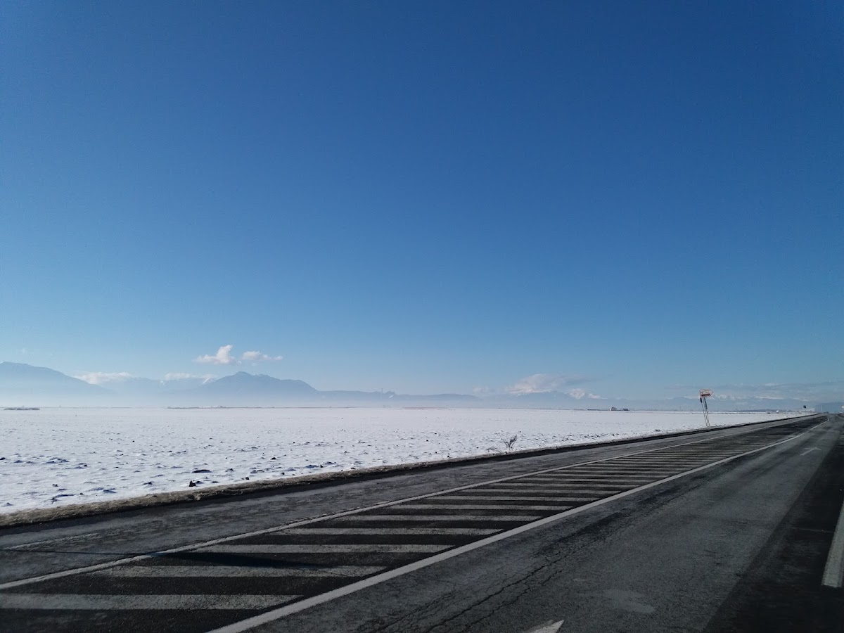 Graells & Llonch - foto 5