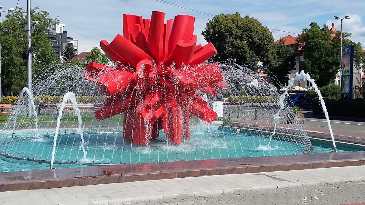 Grand Hotel Coroana - foto 3