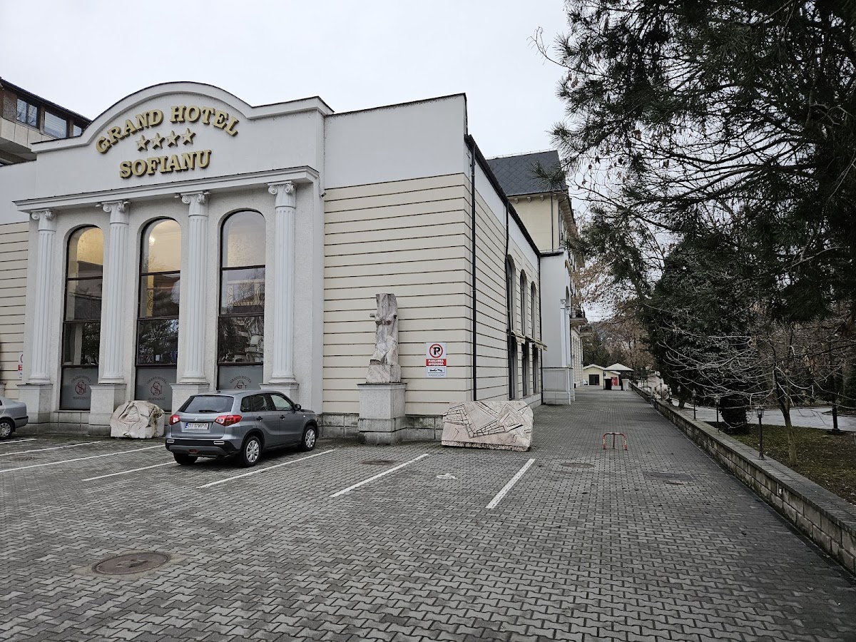 Grand Hotel Sofianu - foto 1