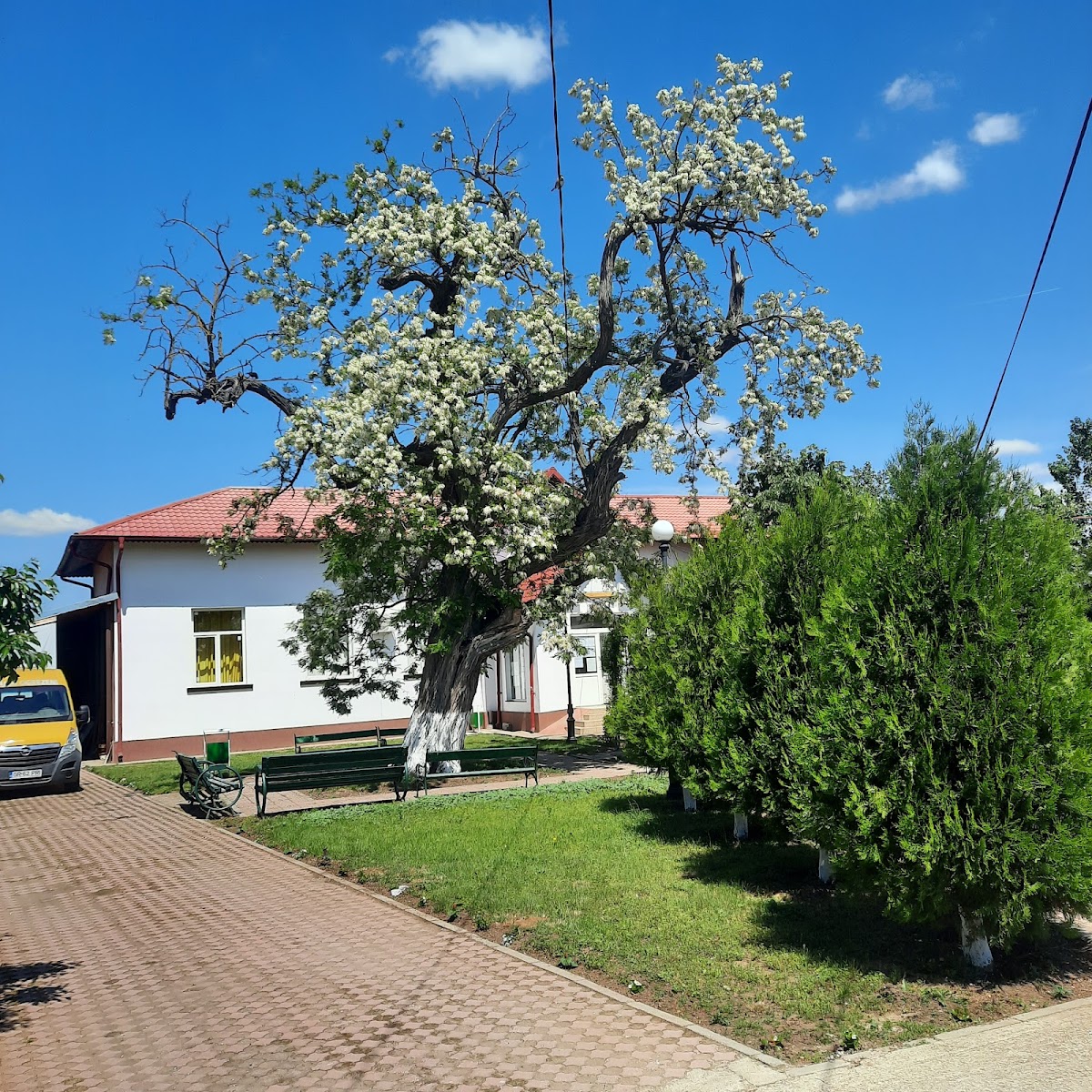 Grătar - La Ciocârlan - foto 2
