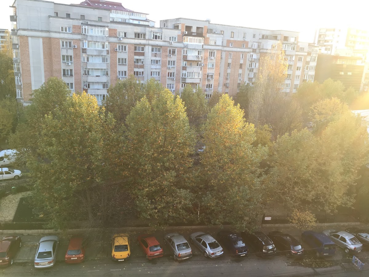 Green Apartments Bucharest